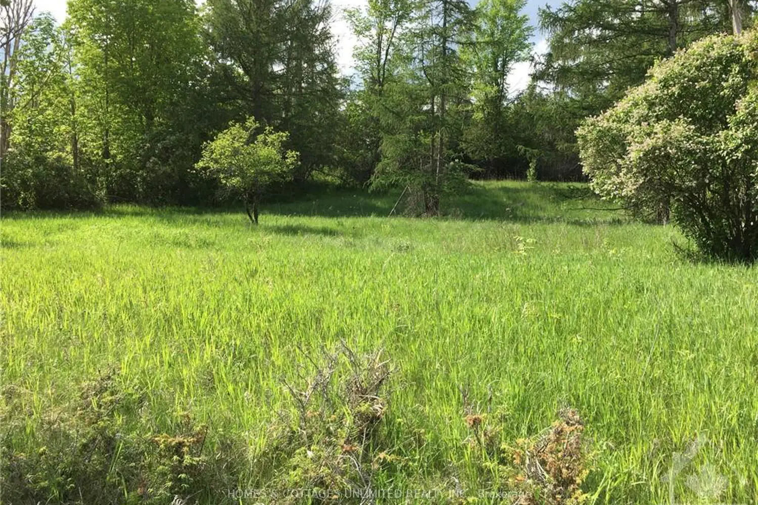 Additional image 12 of 5882 Mcdonalds Corners Road