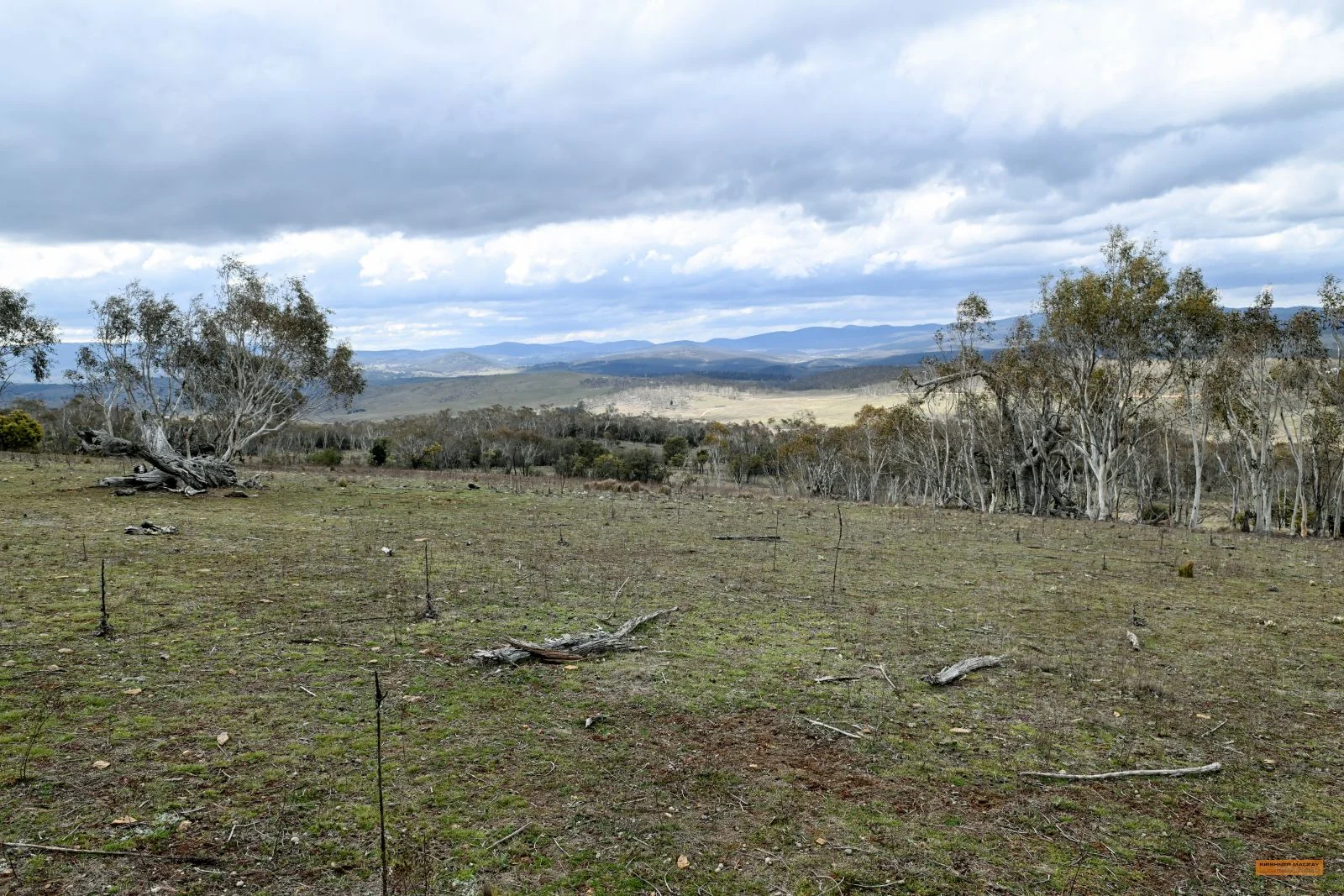 Additional image 34 of "Eagle Heights" 636 Caddigat Road, Dry Plain NSW 2630