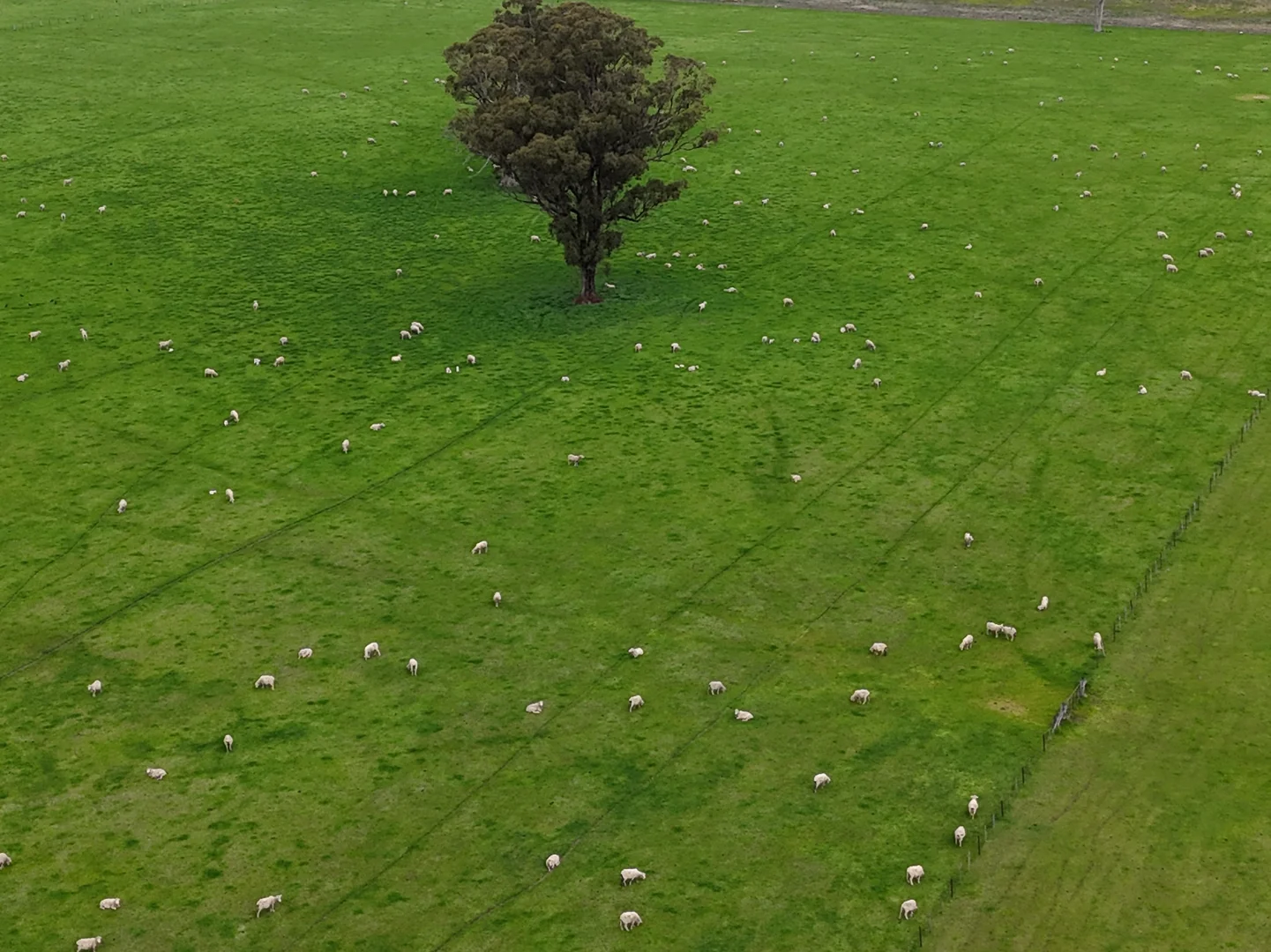 Additional image 8 of 10 Nalinga Road, Seymour VIC 3660