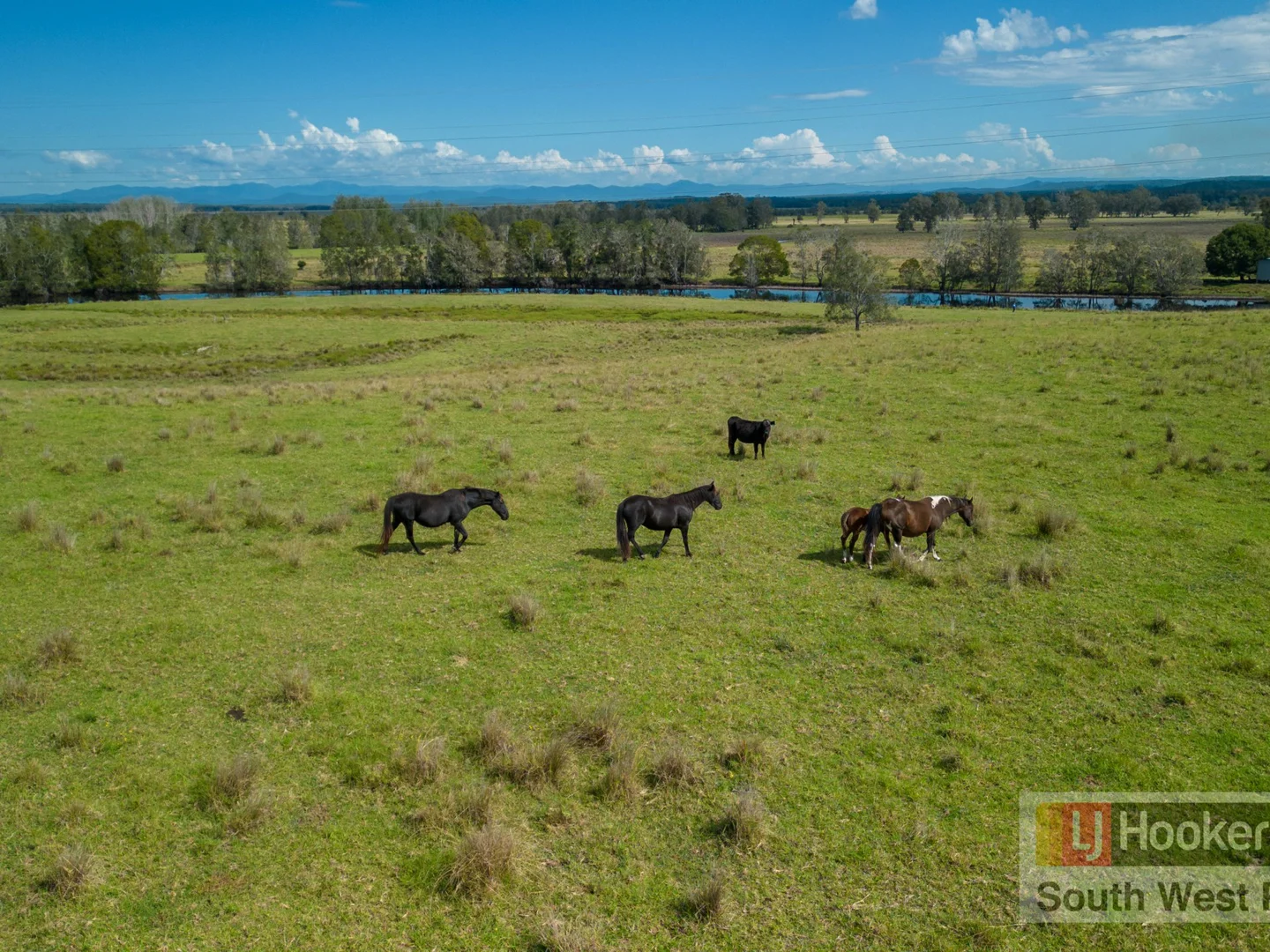Additional image 8 of 2149 Macleay Valley Way, Clybucca NSW 2440