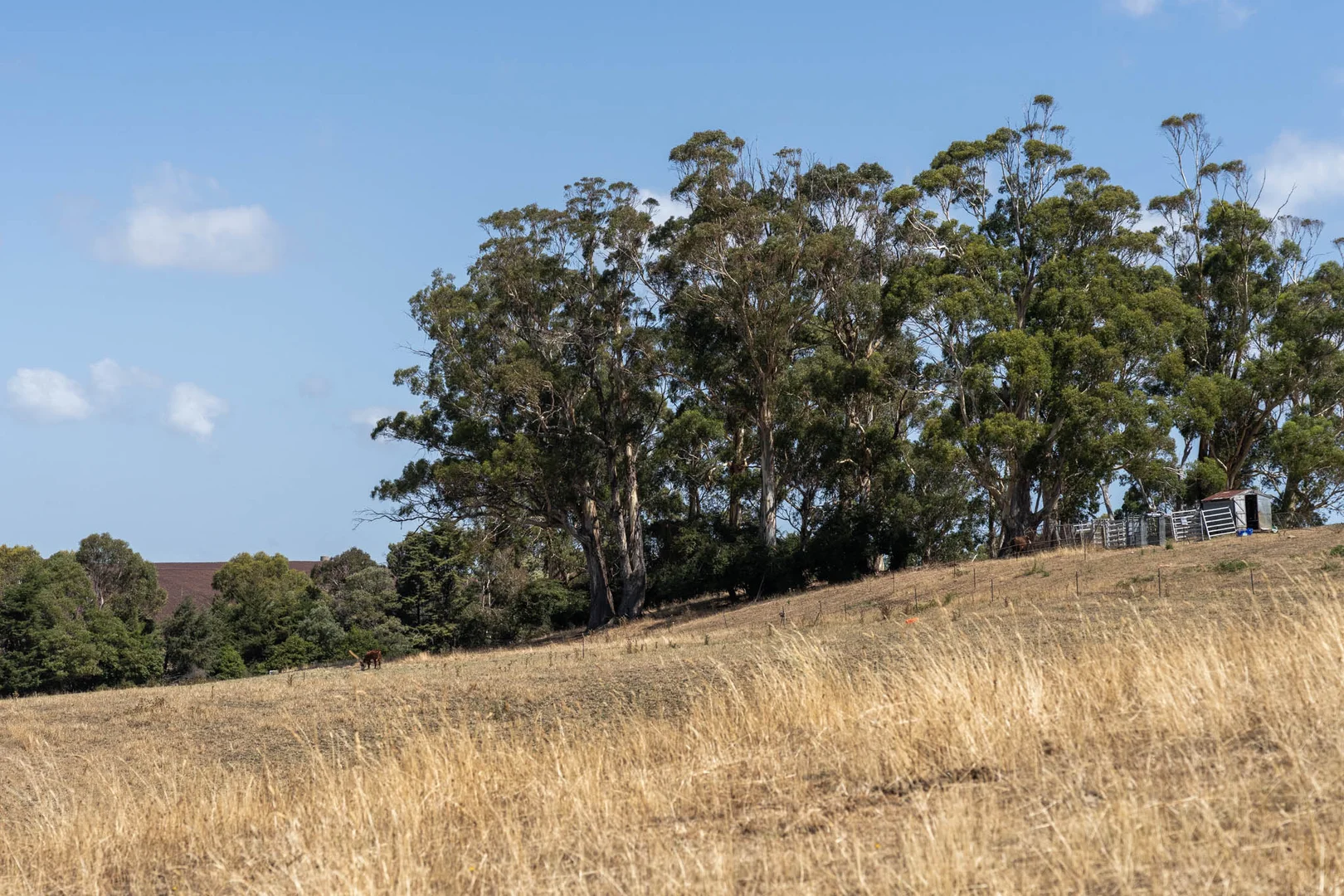 Additional image 25 of Ulverstone Rise, Ulverstone TAS 7315