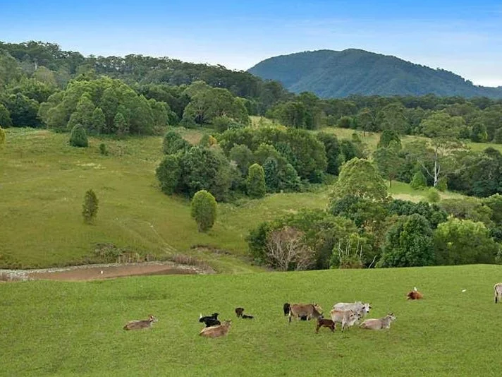 Additional image 18 of 94 Hutchinson Road, Nimbin NSW 2480