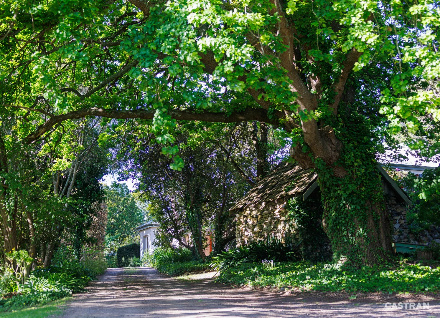 Additional image 32 of 125 Swansea Road, Montrose VIC 3765