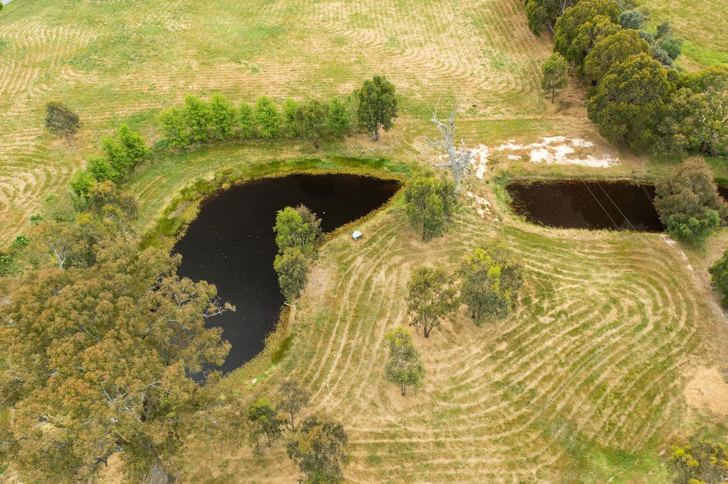 Additional image 35 of 785 Benalla-Tatong Road, Benalla VIC 3672