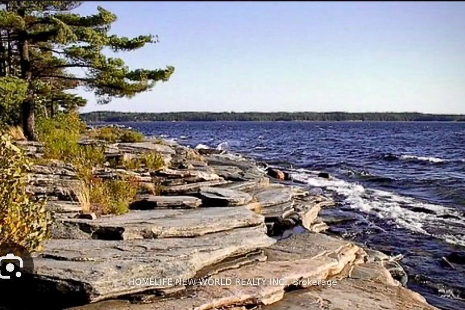 Additional image 8 of 14 Grigg Avenue