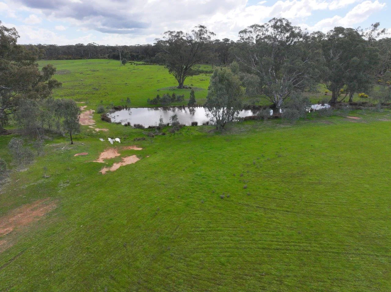 Additional image 9 of - Bendigo-Tennyson Road, Huntly VIC 3551