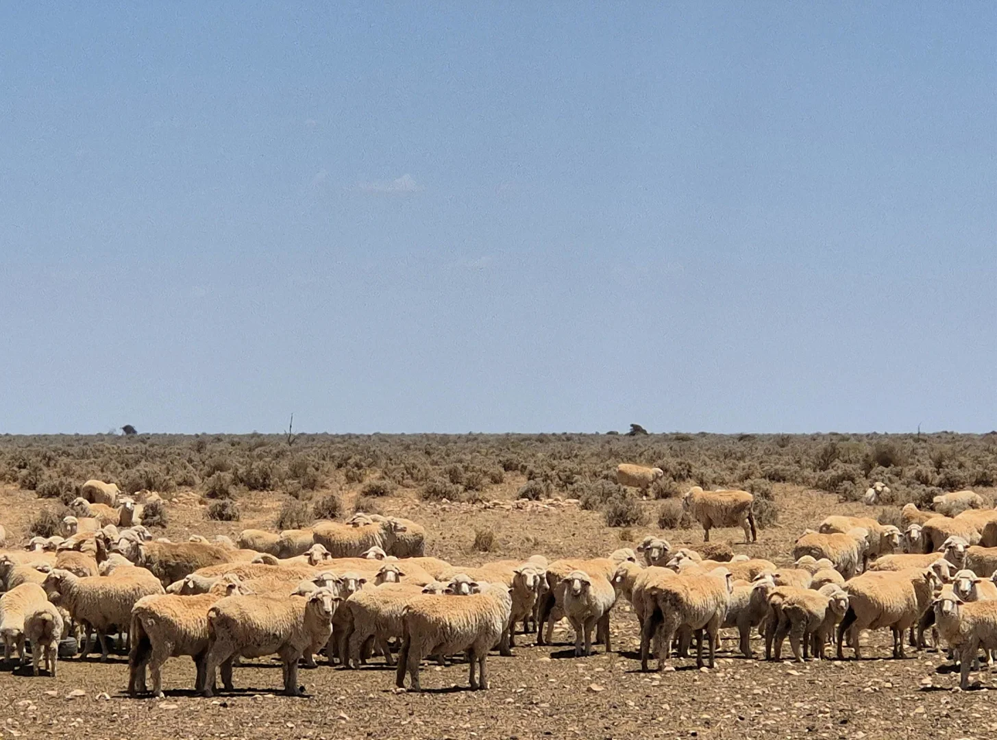 Additional image 6 of Eyre Highway, Dundas WA 6443