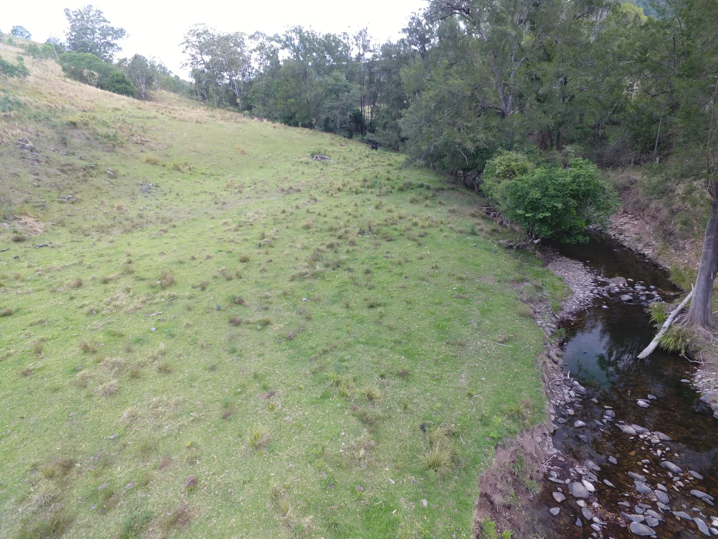 Additional image 8 of 343 Berrico Creek Road, Gloucester NSW 2422