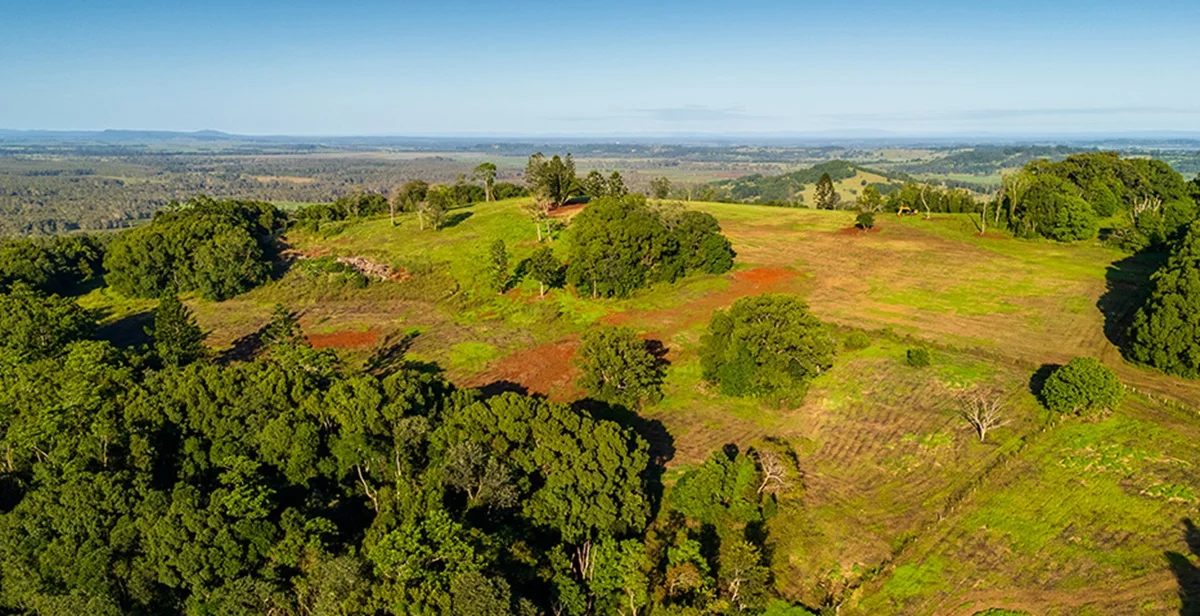 Additional image 4 of Dalwood NSW 2477