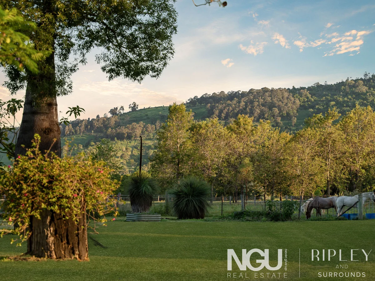 Additional image 15 of 81 Linum Road, Wivenhoe Pocket QLD 4306