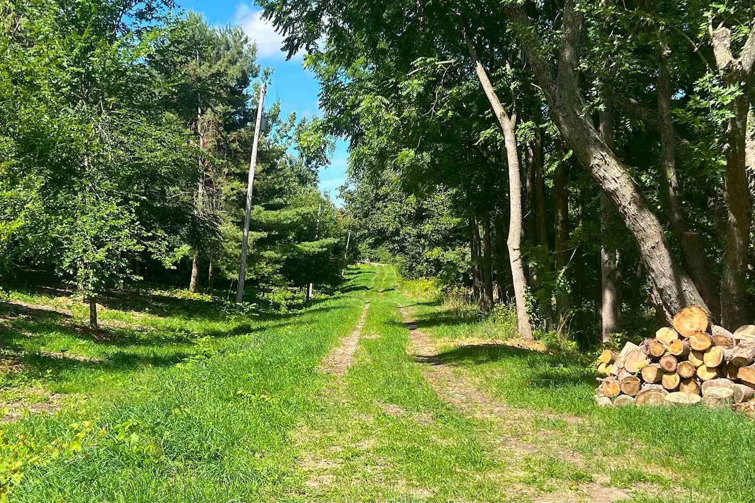 Additional image 16 of 628190 15Th Side Road