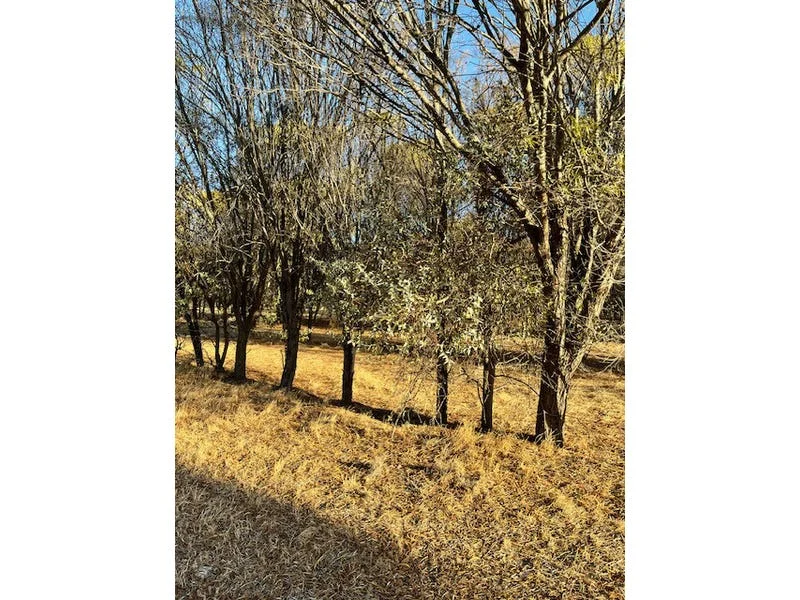 Additional image 16 of 964 Dobaderry Road, Beverley WA 6304