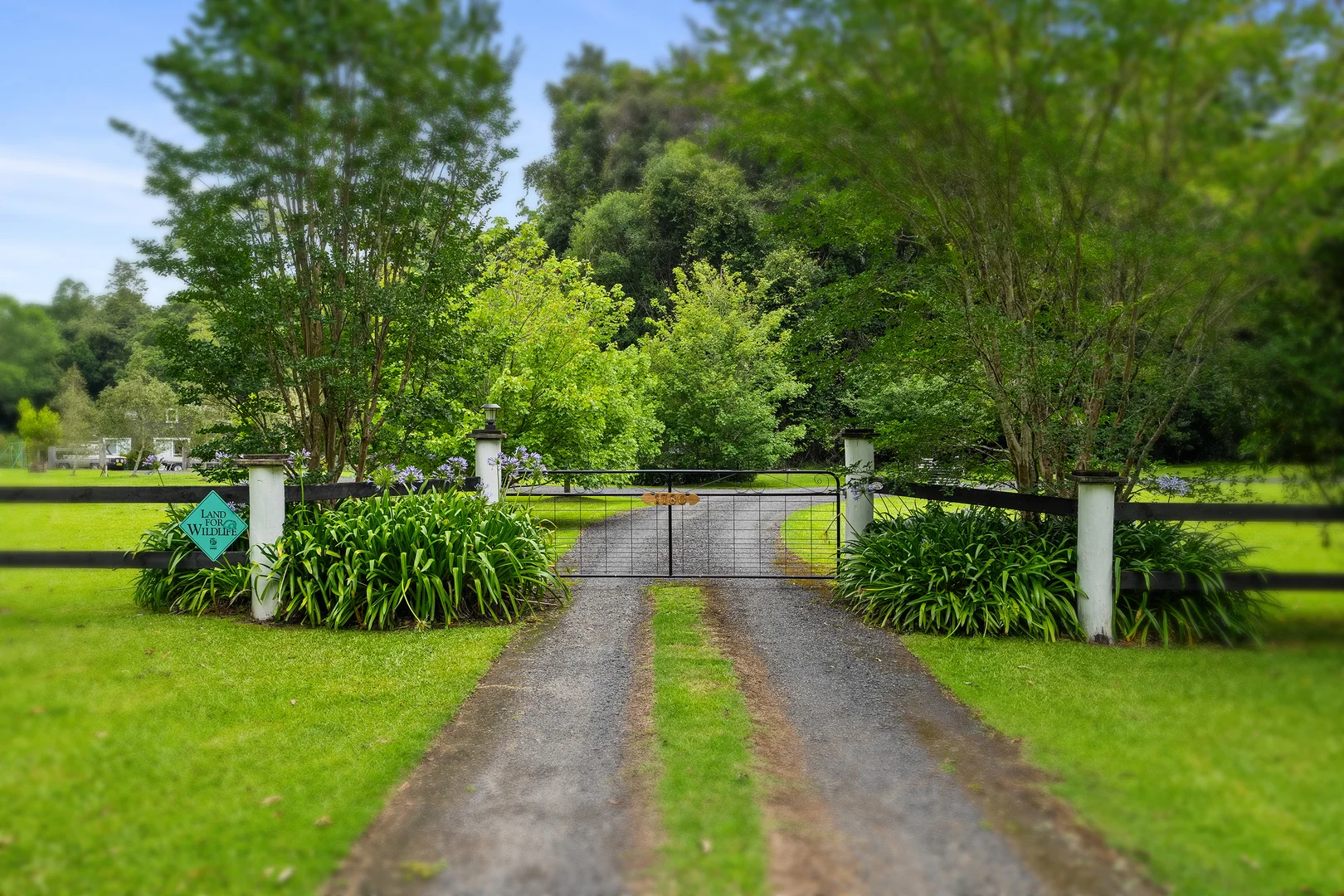 Additional image 27 of 1780 Dooralong Road, Lemon Tree NSW 2259