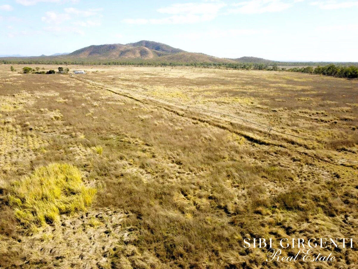 Additional image 7 of Parada, Mutchilba QLD 4872