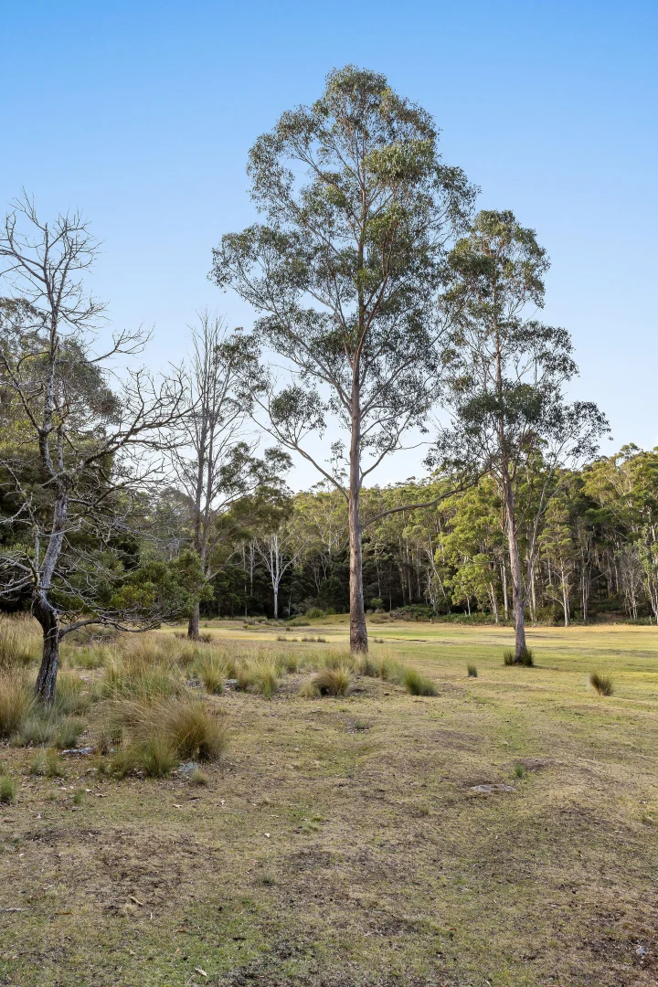 Additional image 26 of 464 Larcombes Road, Reedy Marsh, Deloraine TAS 7304