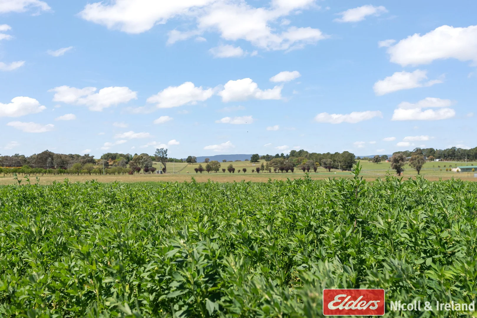 Additional image 5 of 73 Clairvaux Lane, Kelso NSW 2795