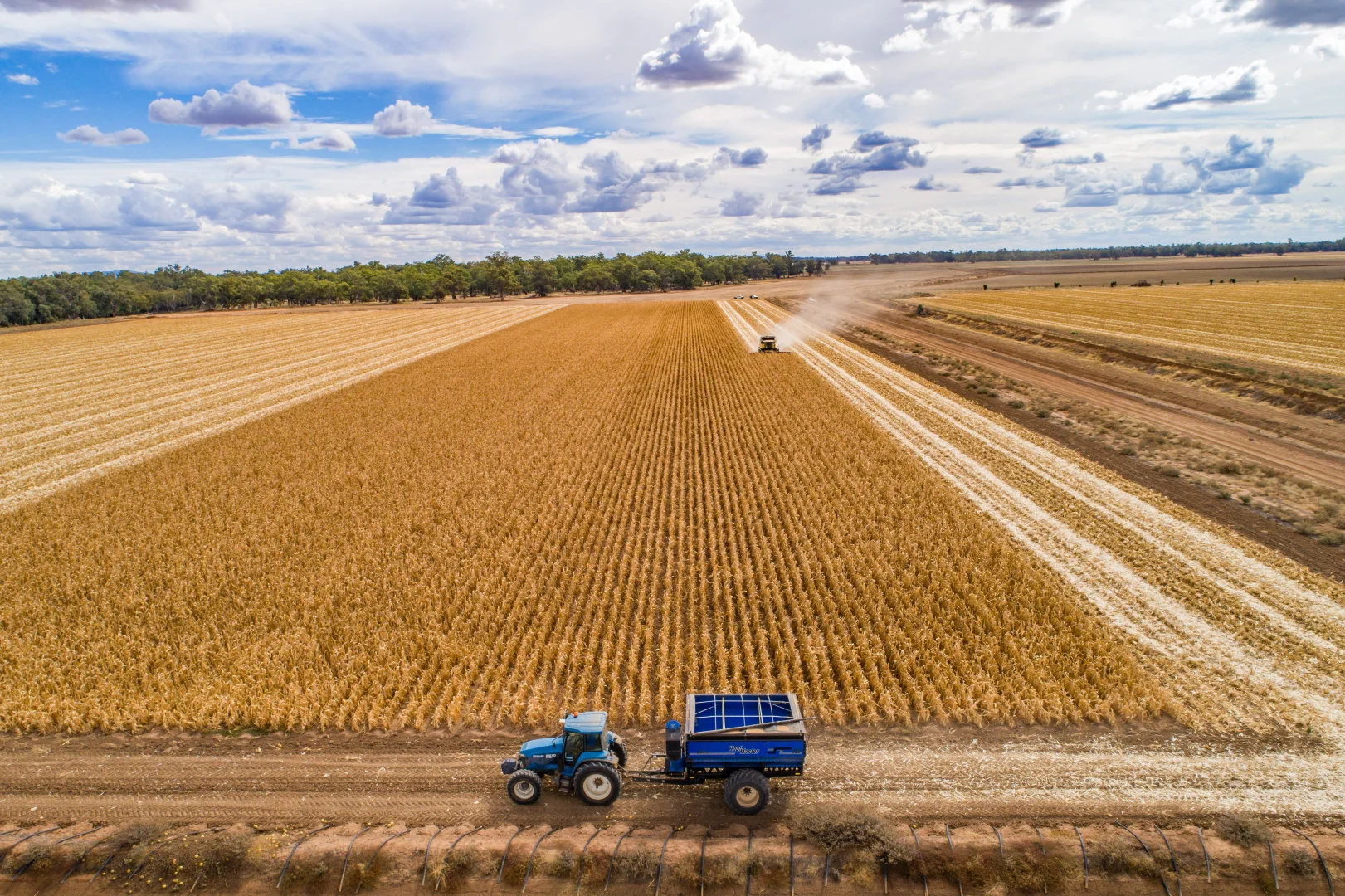 Additional image 3 of 4005 Lachlan Valley Way, Forbes NSW 2871