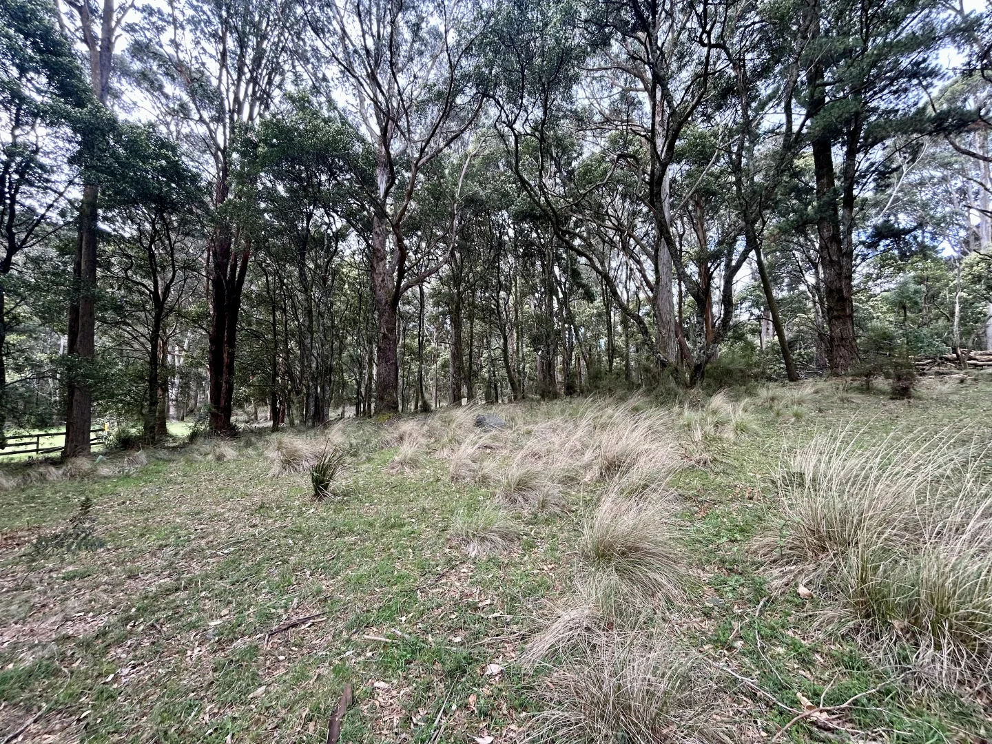 Additional image 6 of 975 Daylesford-Trentham Road, Bullarto VIC 3461