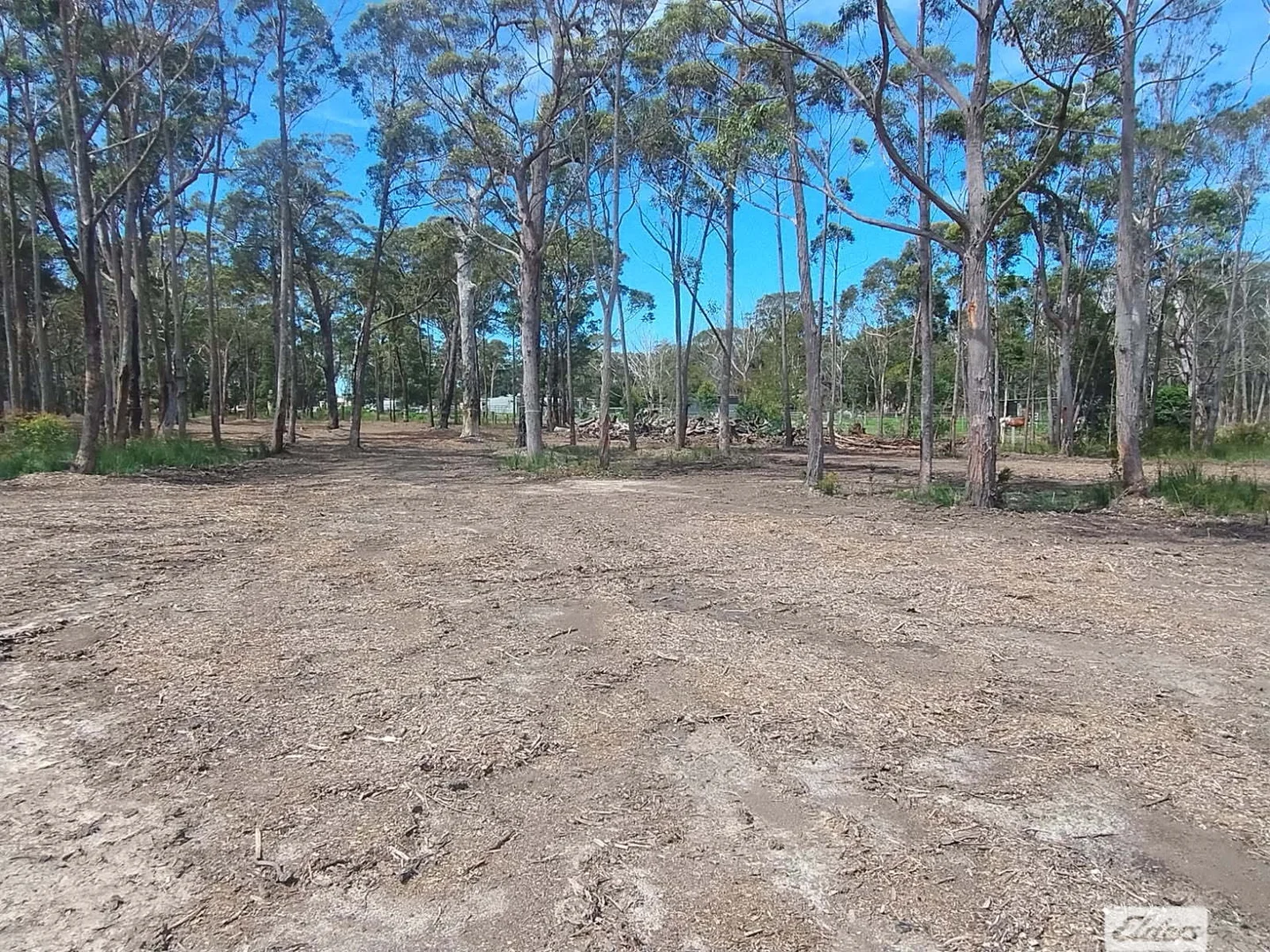 Additional image 5 of 740 Sussex Inlet Road, Sussex Inlet NSW 2540