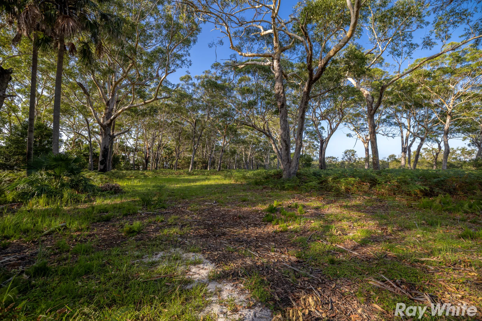 Additional image 6 of Lot 3 Wallis Island, Forster NSW 2428