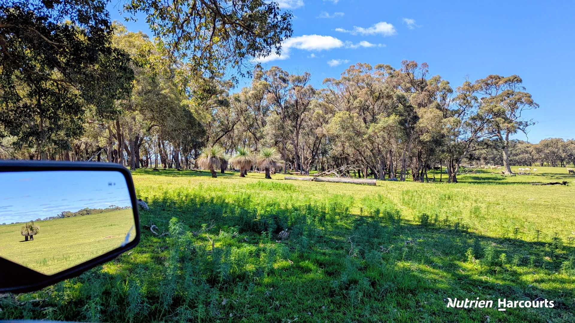 Additional image 31 of Lot 53 Cowalla Road, Cowalla WA 6503