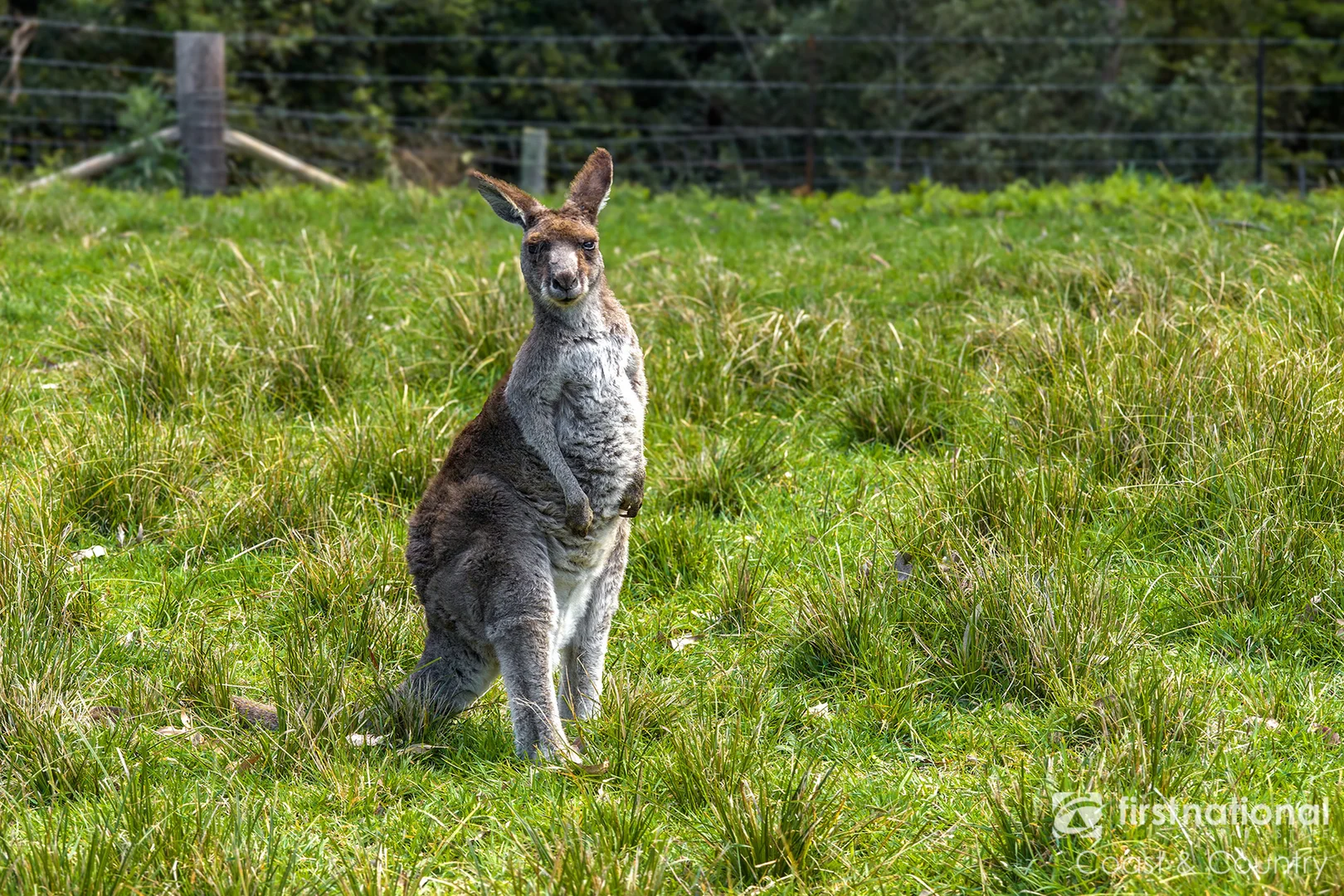 Additional image 3 of 533 Foxground Road, Foxground NSW 2534