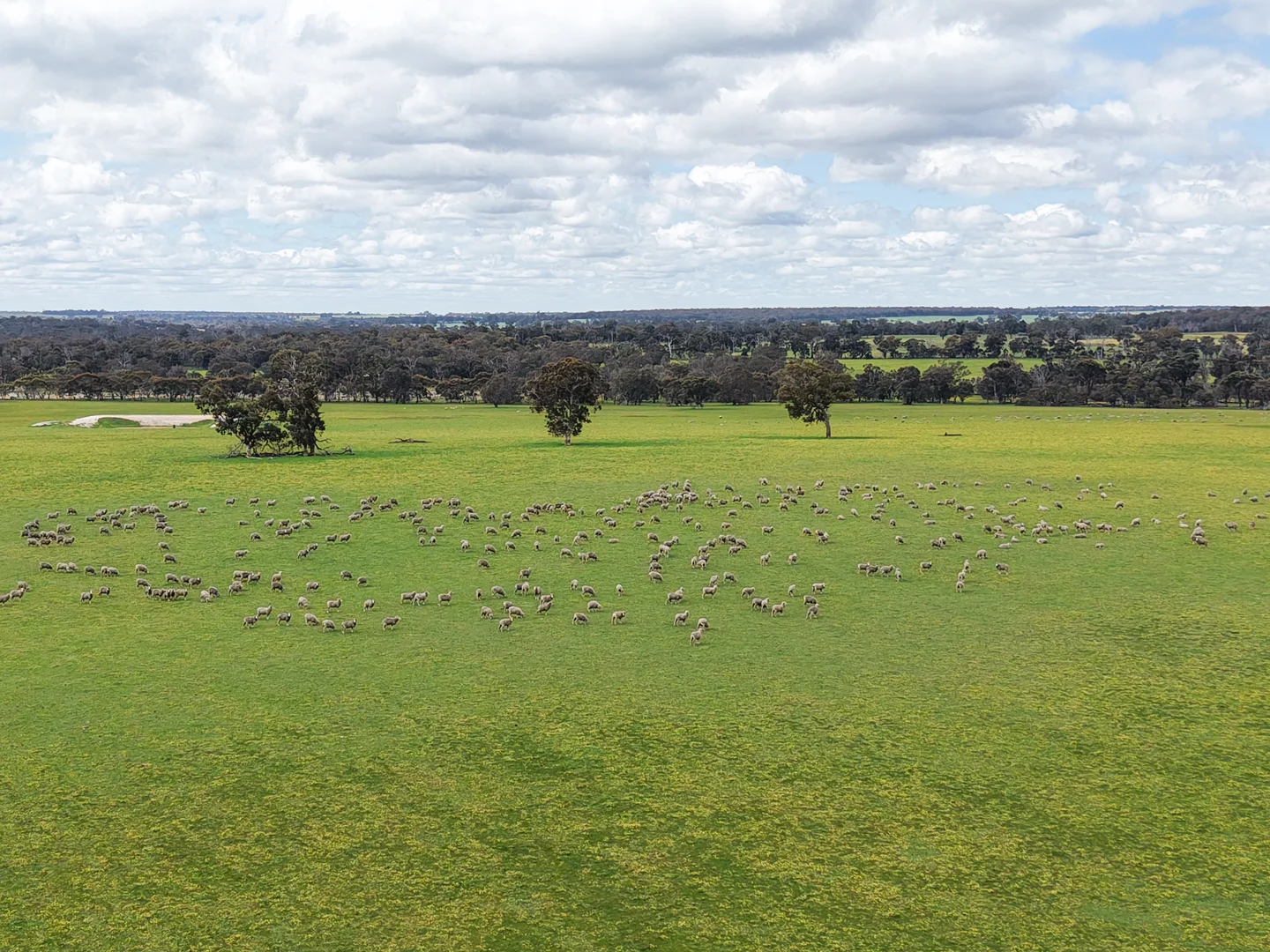Additional image 7 of Lot 3 Scotts Brook Road, Mobrup WA 6395