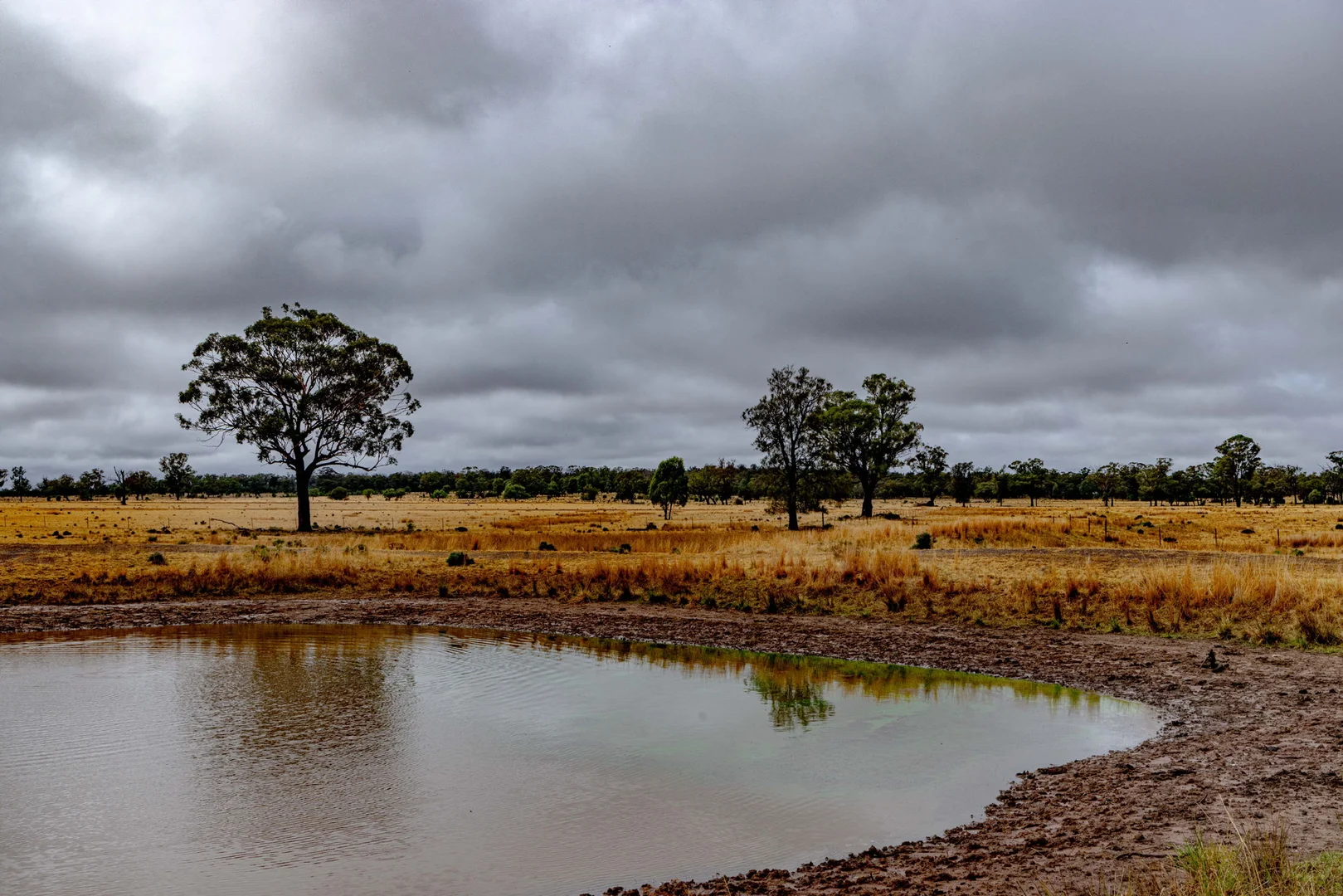 Additional image 6 of 'Woroona' & 'Tralee' 936 Boorr Hill Road, Parkes NSW 2870