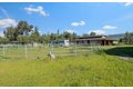 Additional image 44 of 13575 Mammini Ct, San Martin, CA, 95046