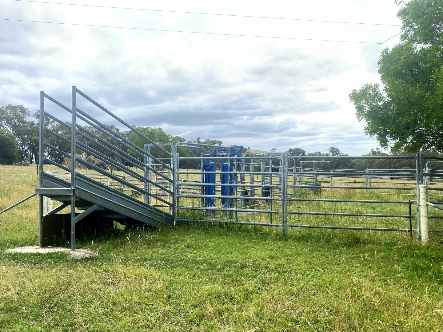 Additional image 30 of "Abbyville" 90 Convent Lane, Borenore NSW 2800