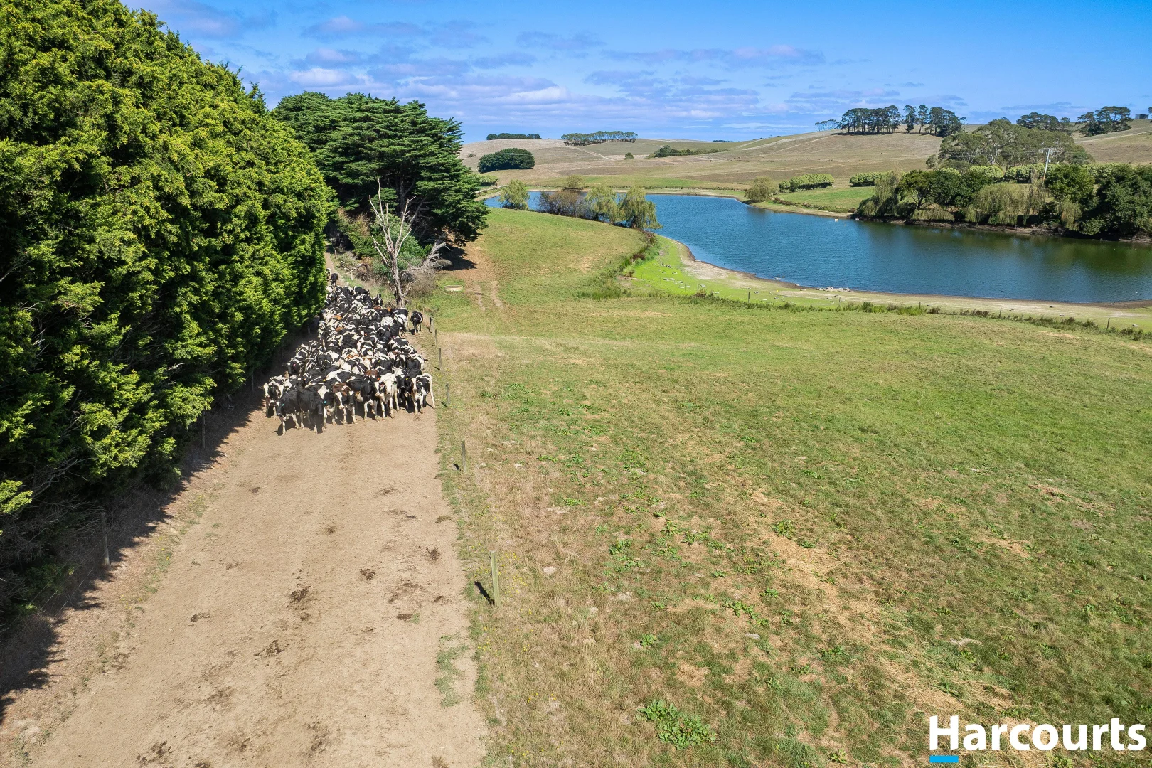 Additional image 16 of 778 Whitelaw Track, Buffalo VIC 3958