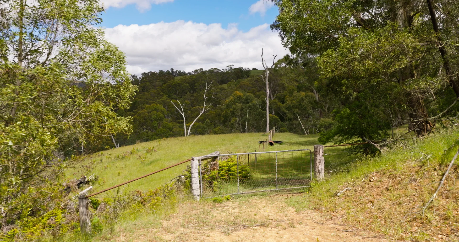 Additional image 13 of Lot 3 - 289 Tongio Gap Road, Tongio VIC 3896