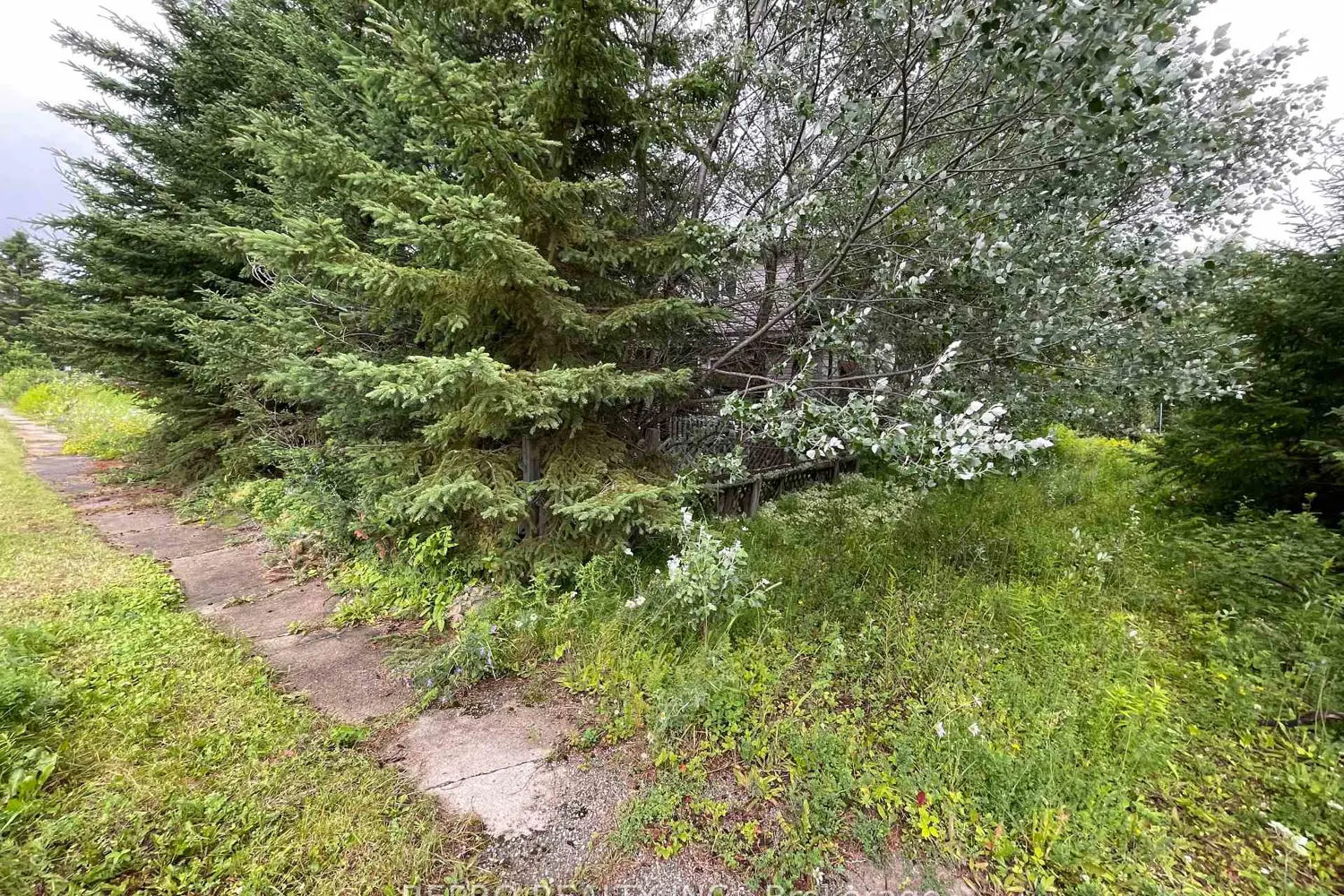 Additional image 3 of 65 Edward Street