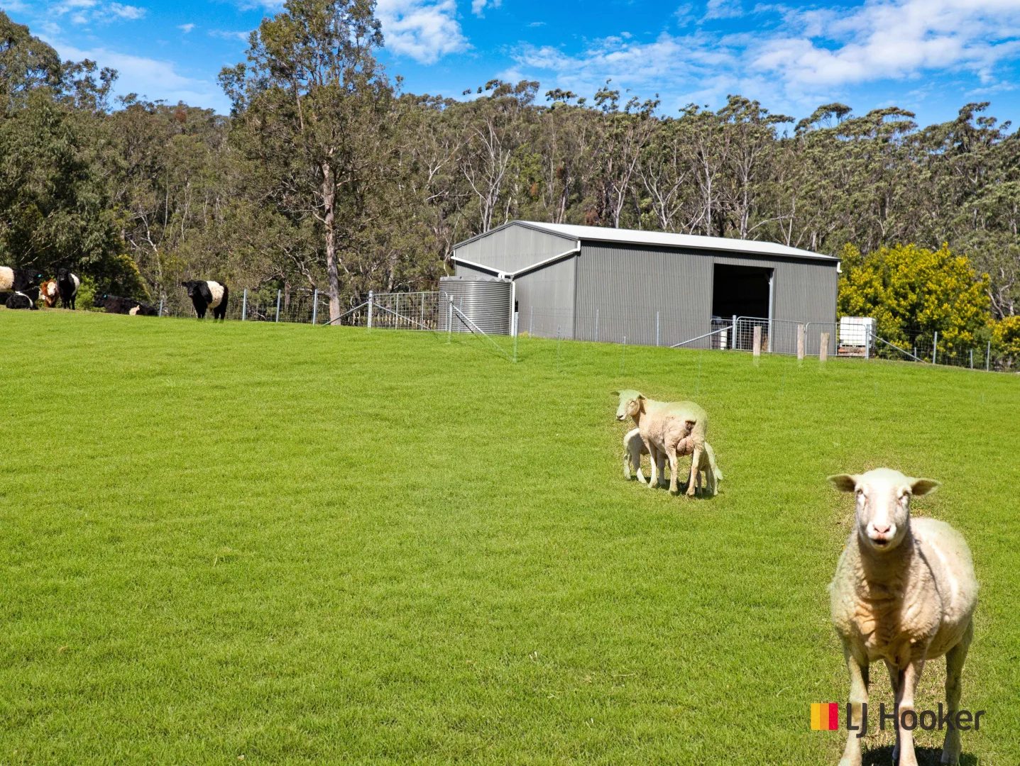 Additional image 20 of 3032 The River Road, Currowan NSW 2536