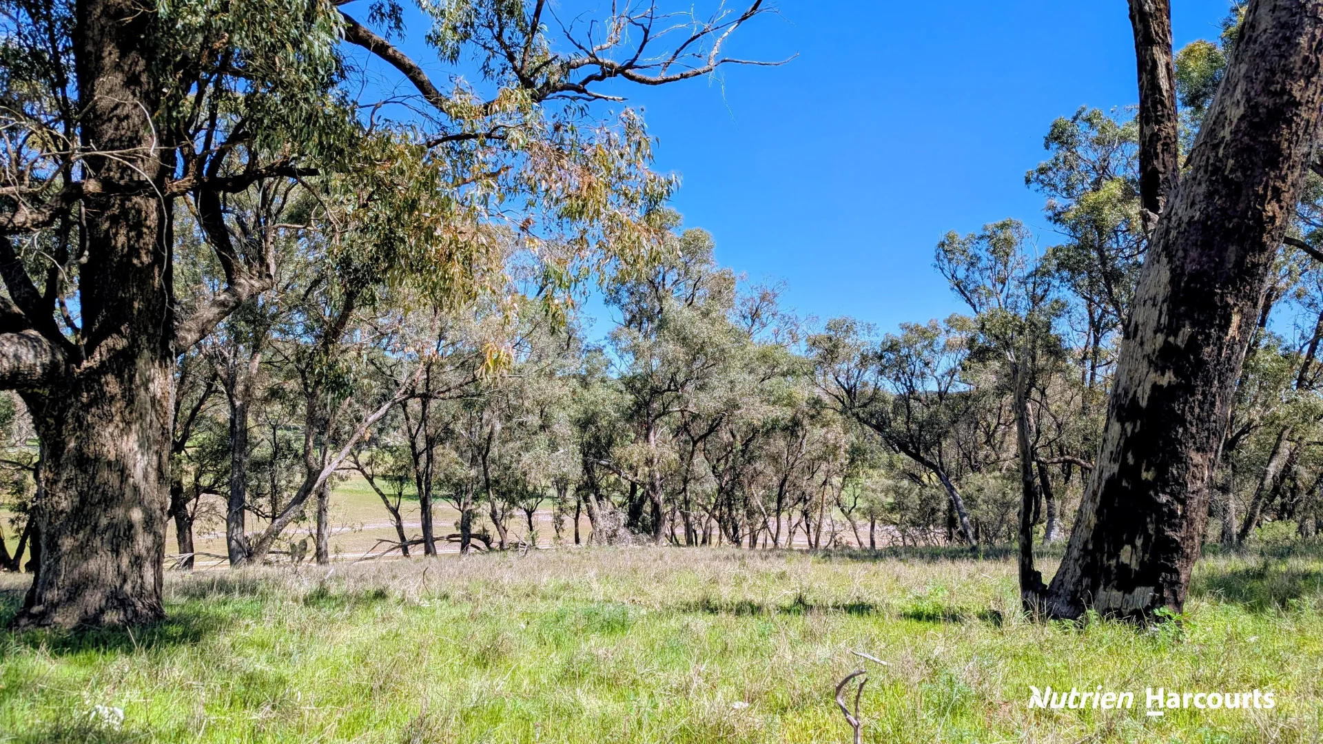 Additional image 12 of Lot 53 Cowalla Road, Cowalla WA 6503