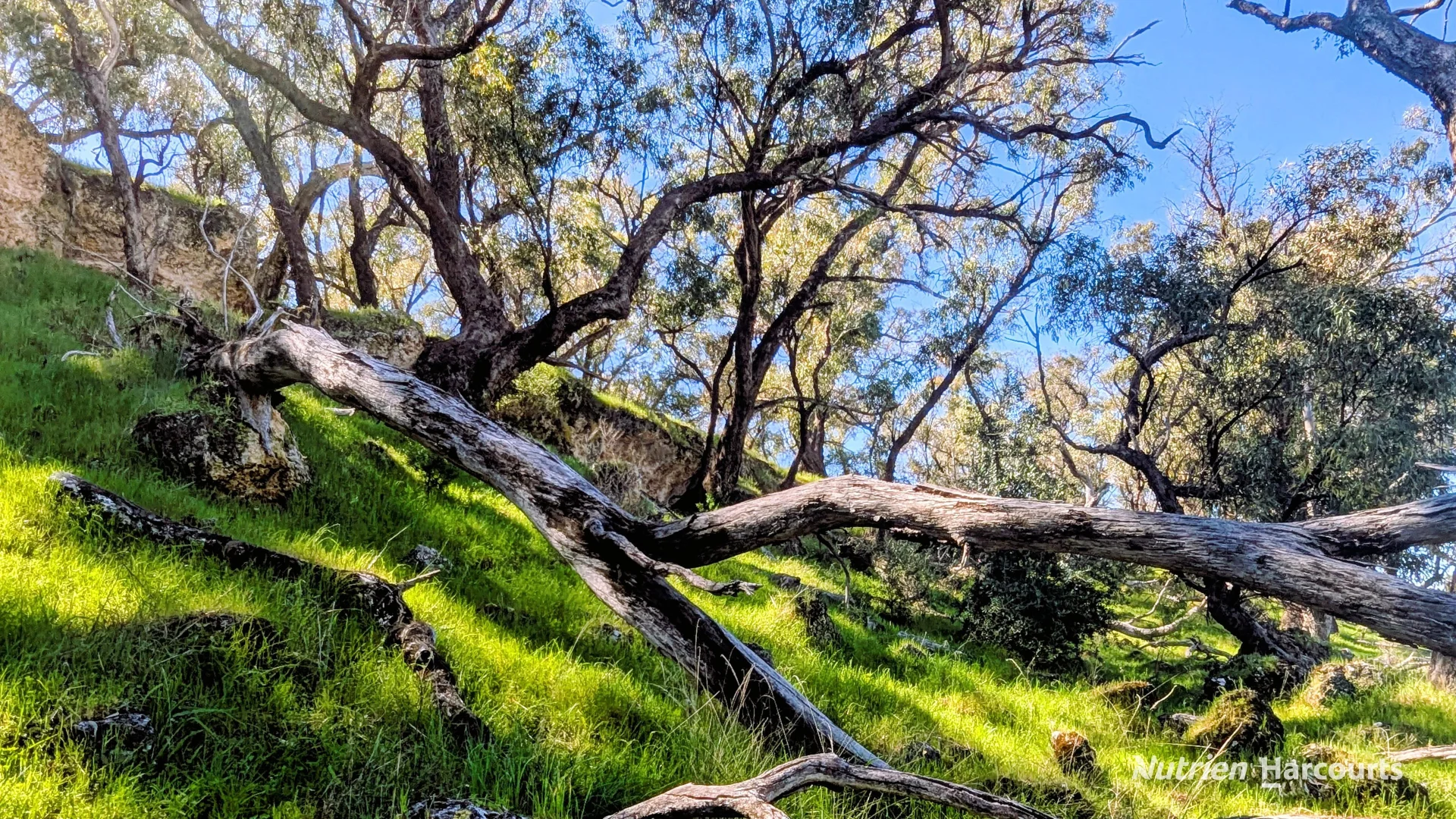 Additional image 22 of Lot 51 Millbank Road, Cowalla WA 6503