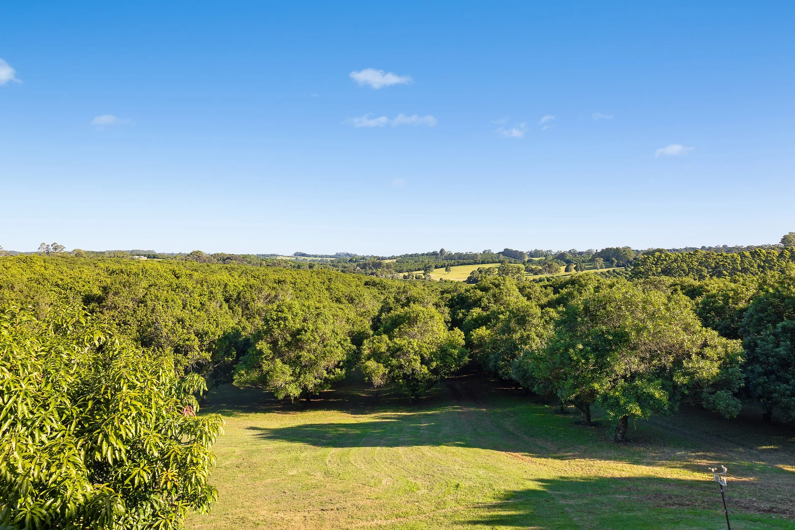 Additional image 16 of 103 Lindendale Road, Lindendale NSW 2480