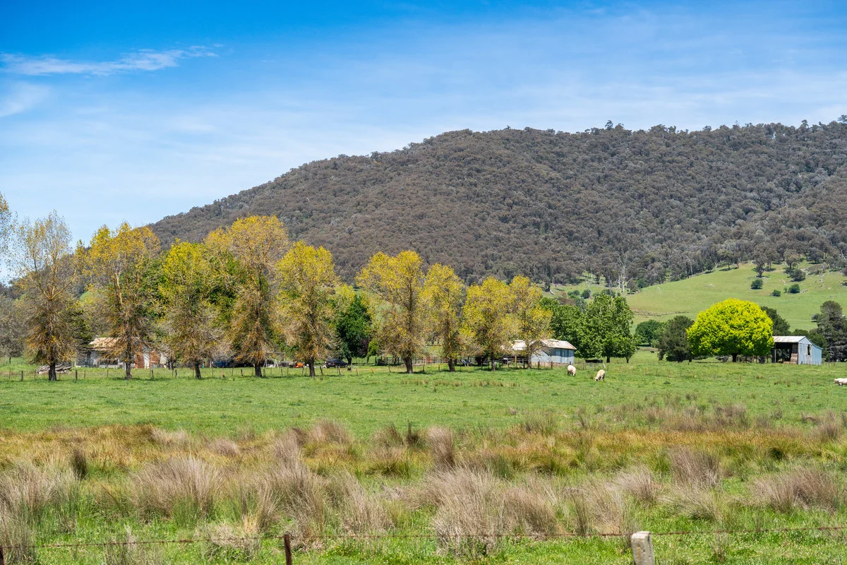 Additional image 6 of 4320 Kiewa Valley Highway, Dederang VIC 3691
