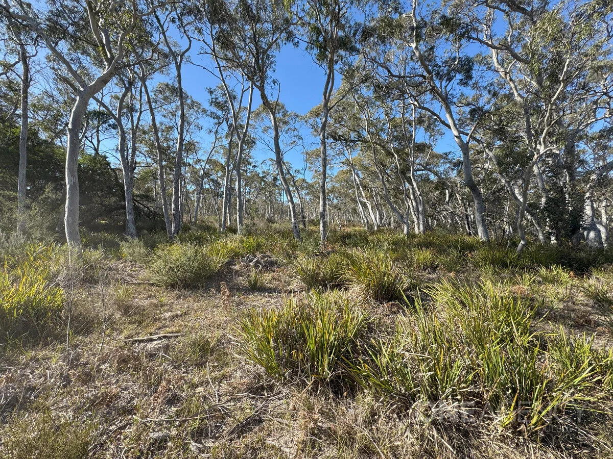 Additional image 12 of 1588 Oallen Ford Road, Oallen NSW 2622