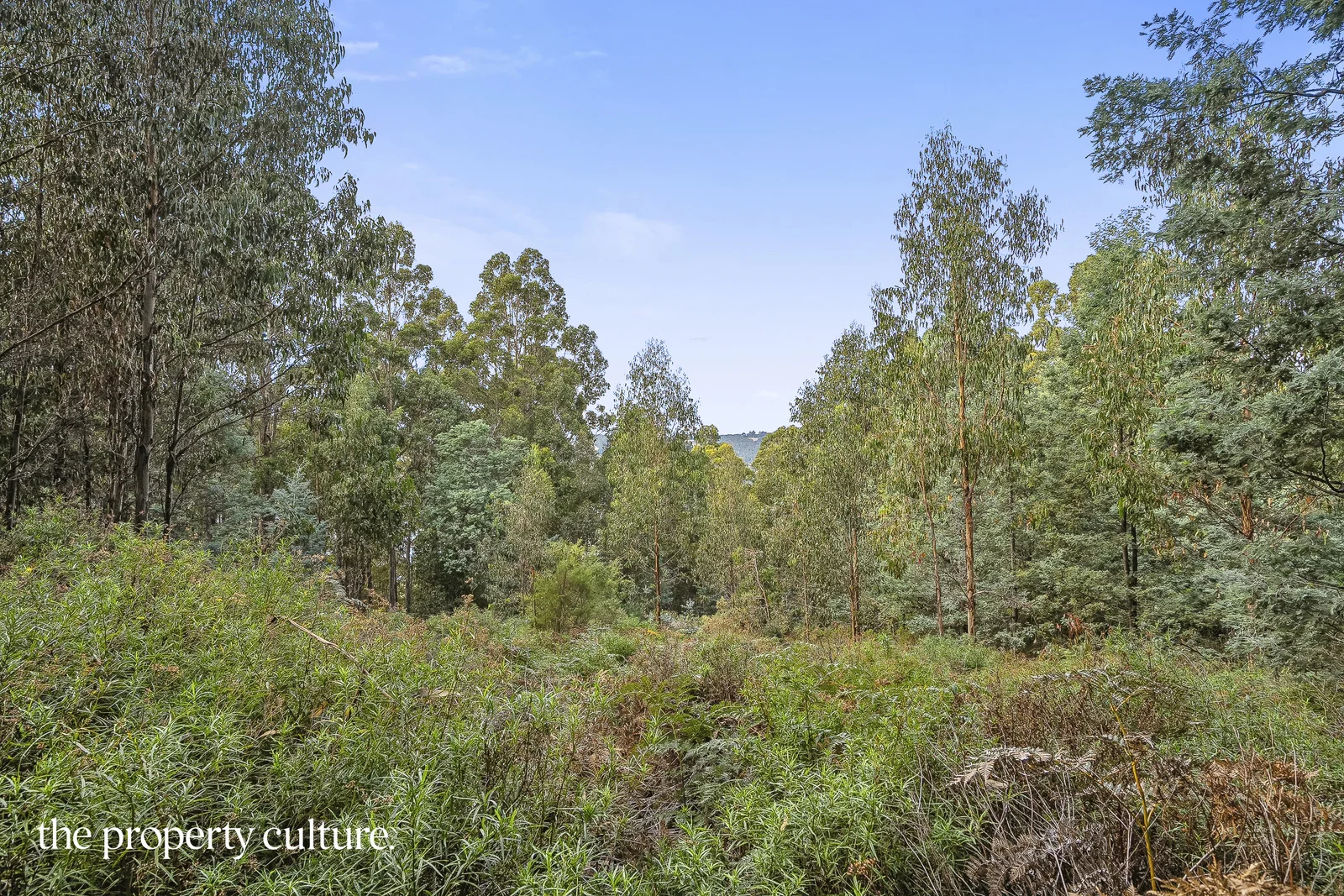 Additional image 19 of 2 Heriots Rise, Franklin TAS 7113