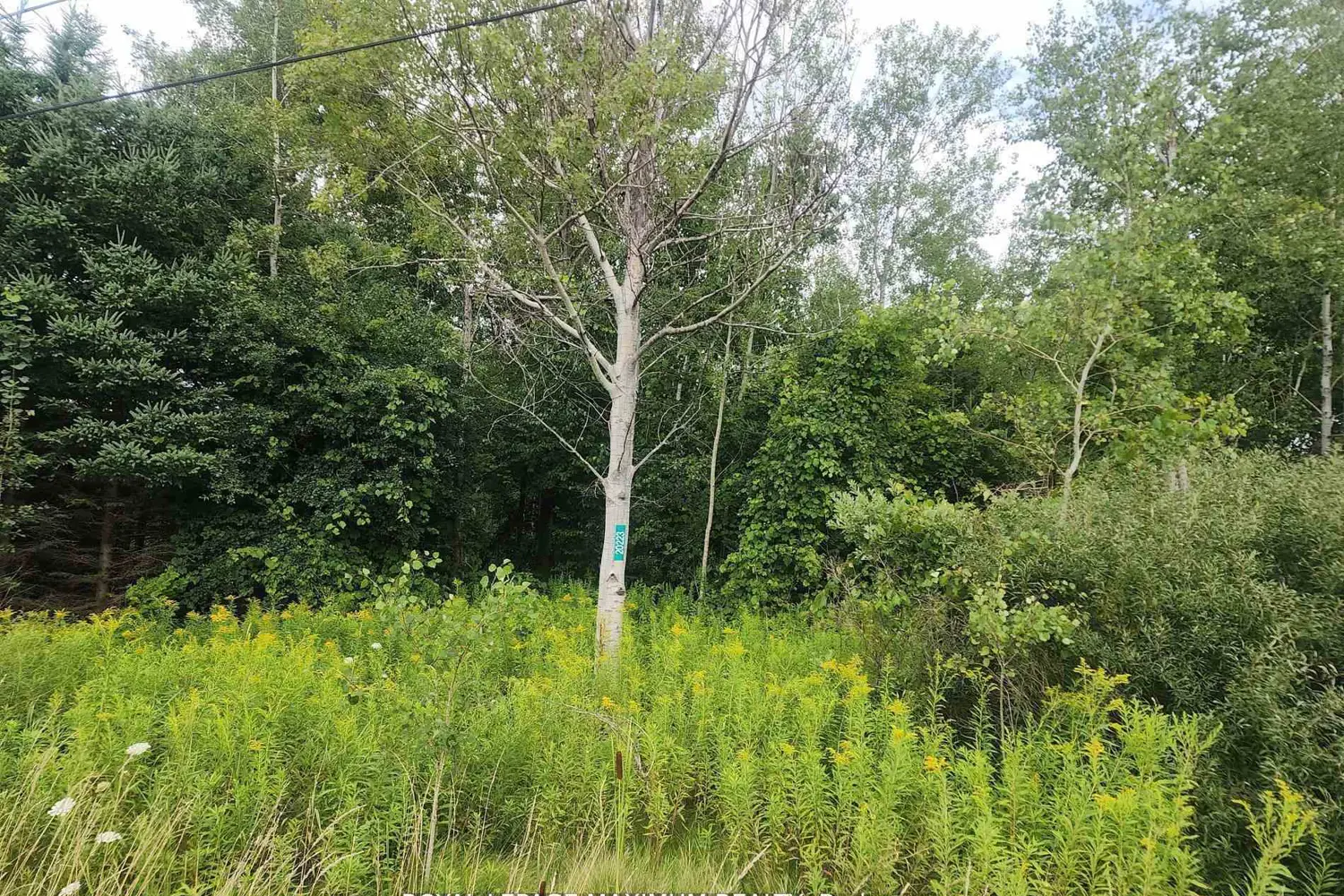 Additional image 2 of 20223 Bathurst Street