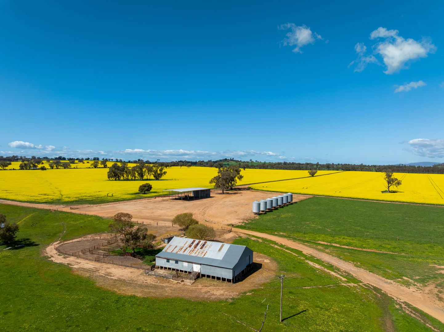 Additional image 11 of 484 Merri Meric Road, Henty NSW 2658