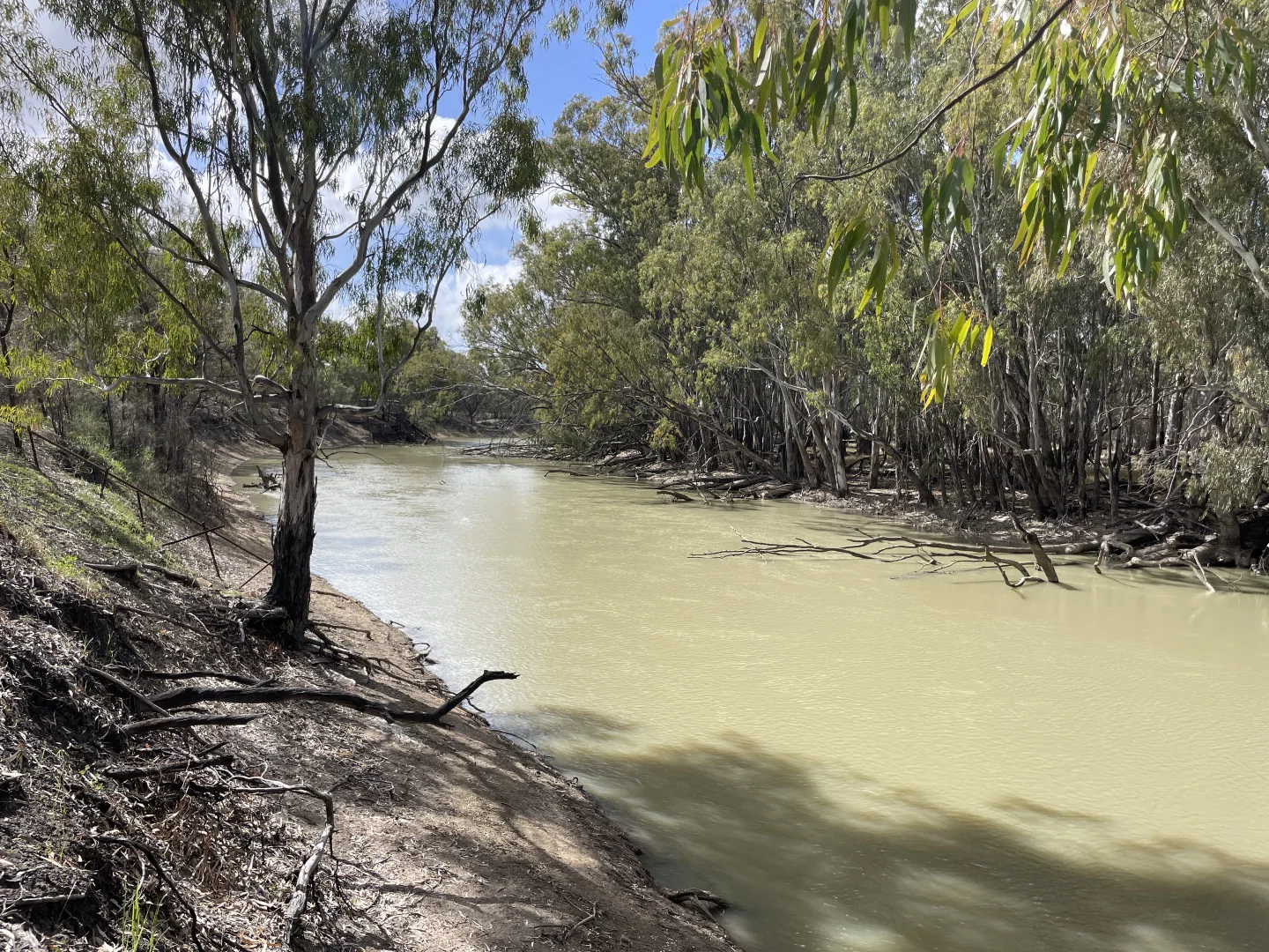 Additional image 2 of 'Fishers' 174 Balranald Road, Moulamein NSW 2733