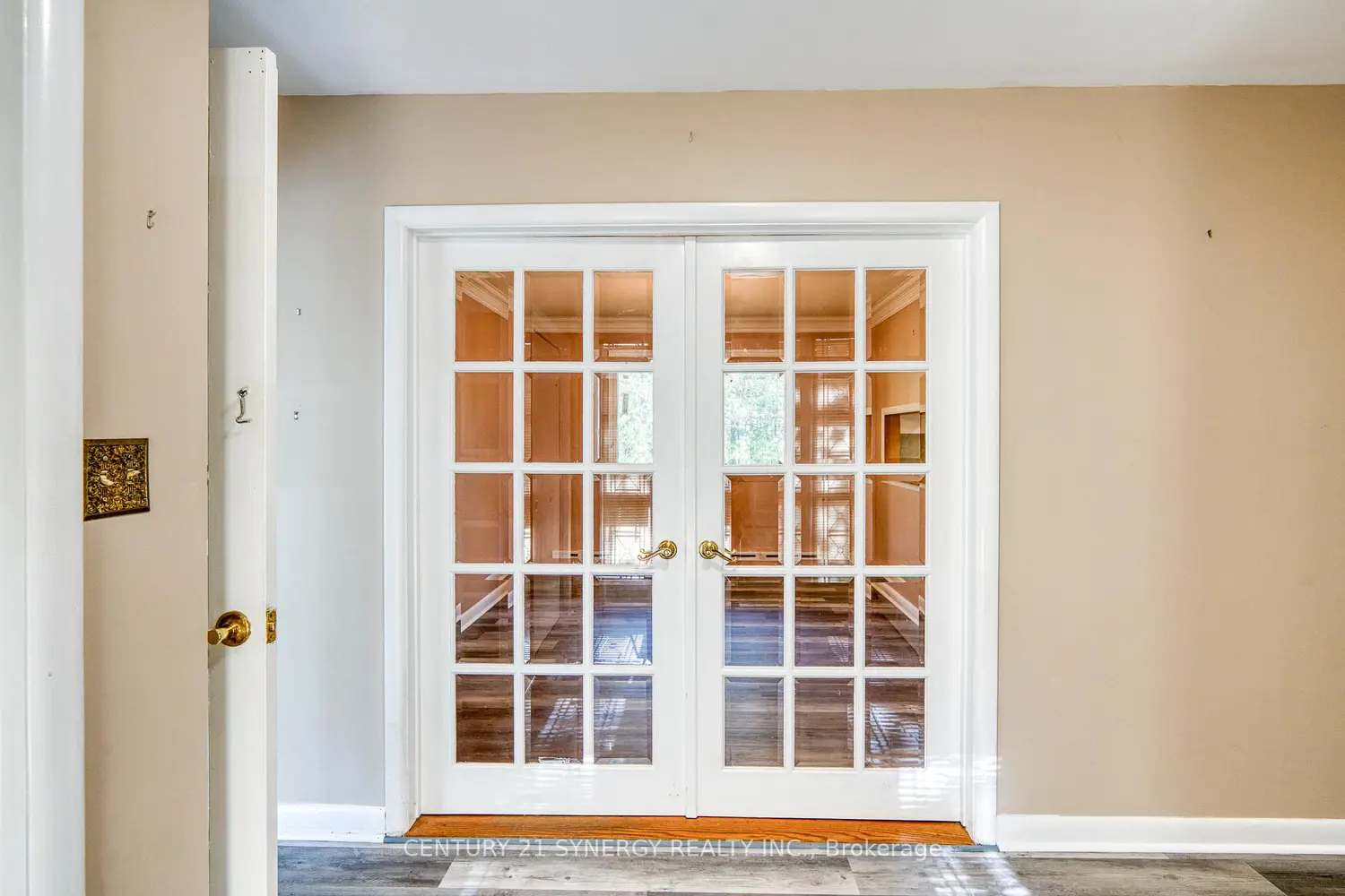 Additional image 5 of 55 Drummond Street