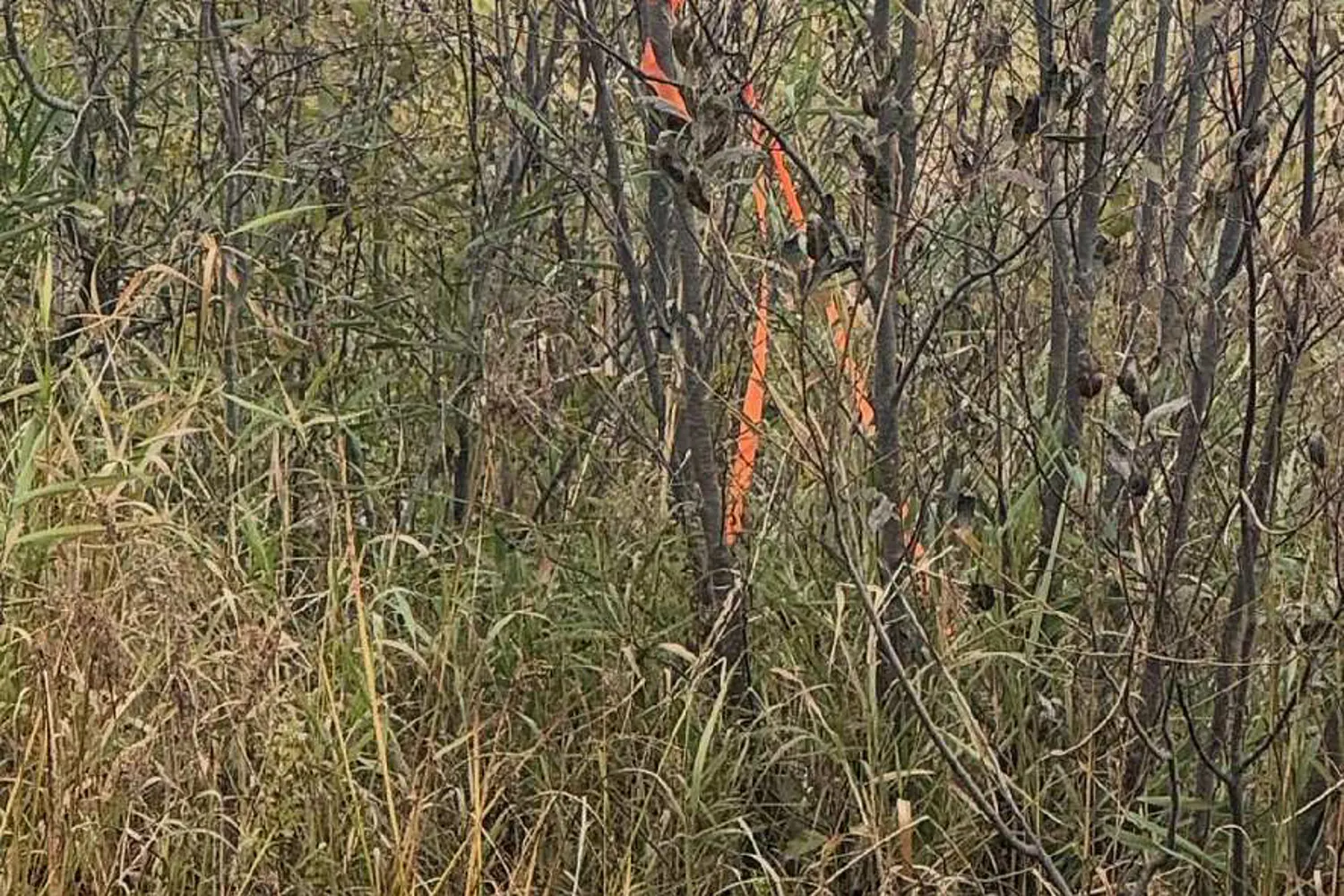 Additional image 10 of Pt 3&4 Levert Drive