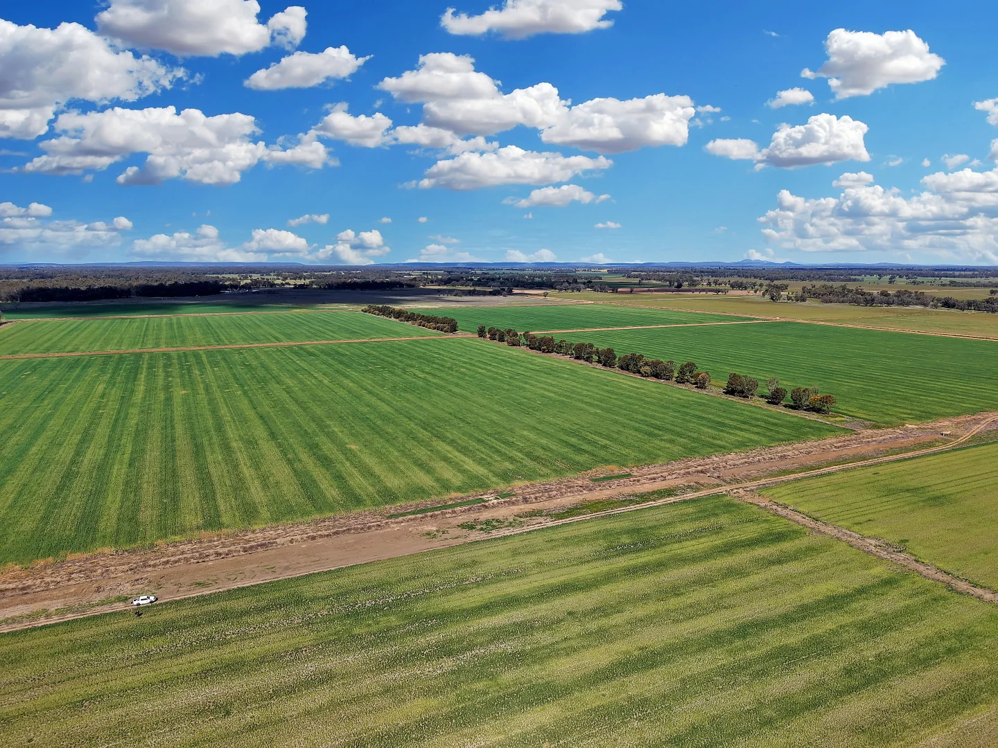 Additional image 28 of 4005 Lachlan Valley Way, Forbes NSW 2871