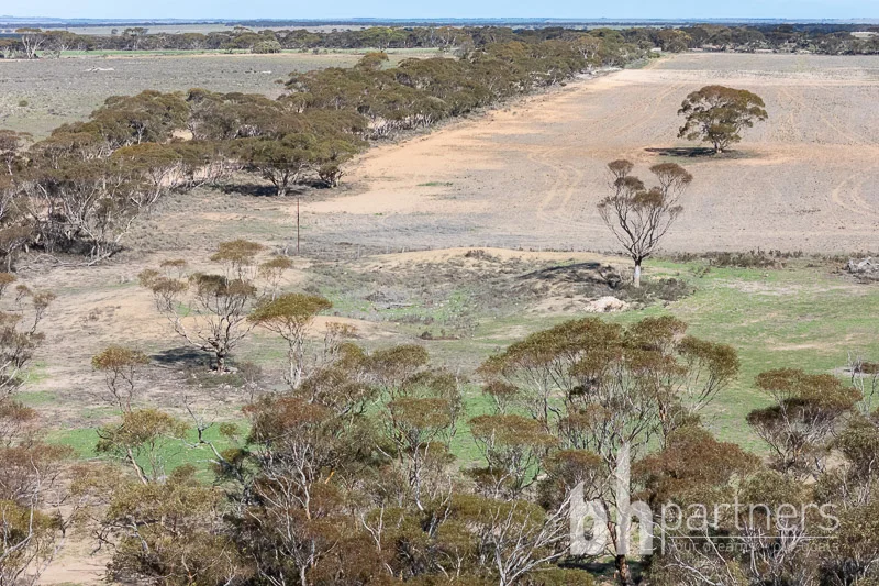 Additional image 7 of 89 Schroeder Road, Cambrai SA 5353