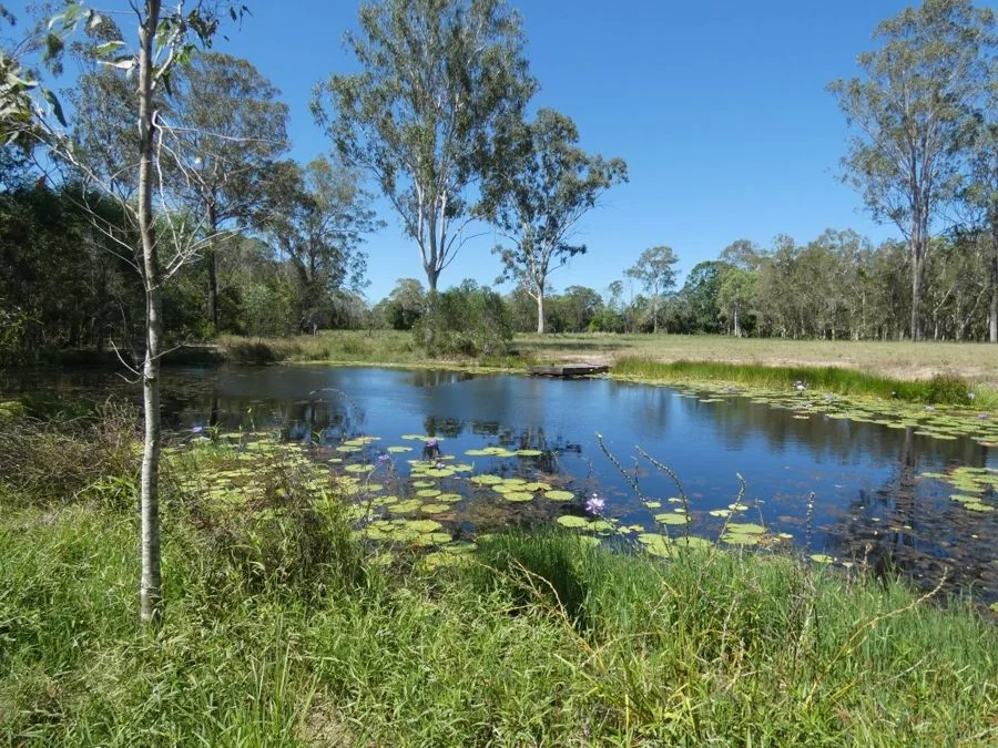 Additional image 26 of 158 Taunton Road, Euleilah QLD 4674