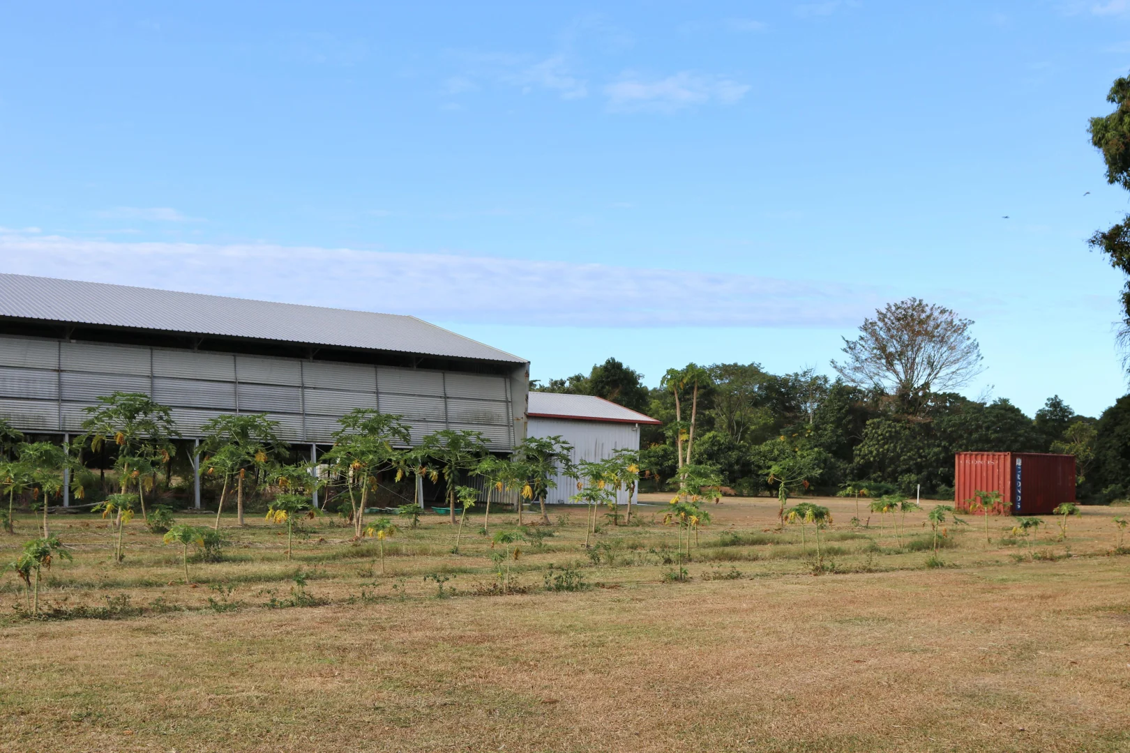 Additional image 16 of 412R Kamerunga Road, Stratford QLD 4870