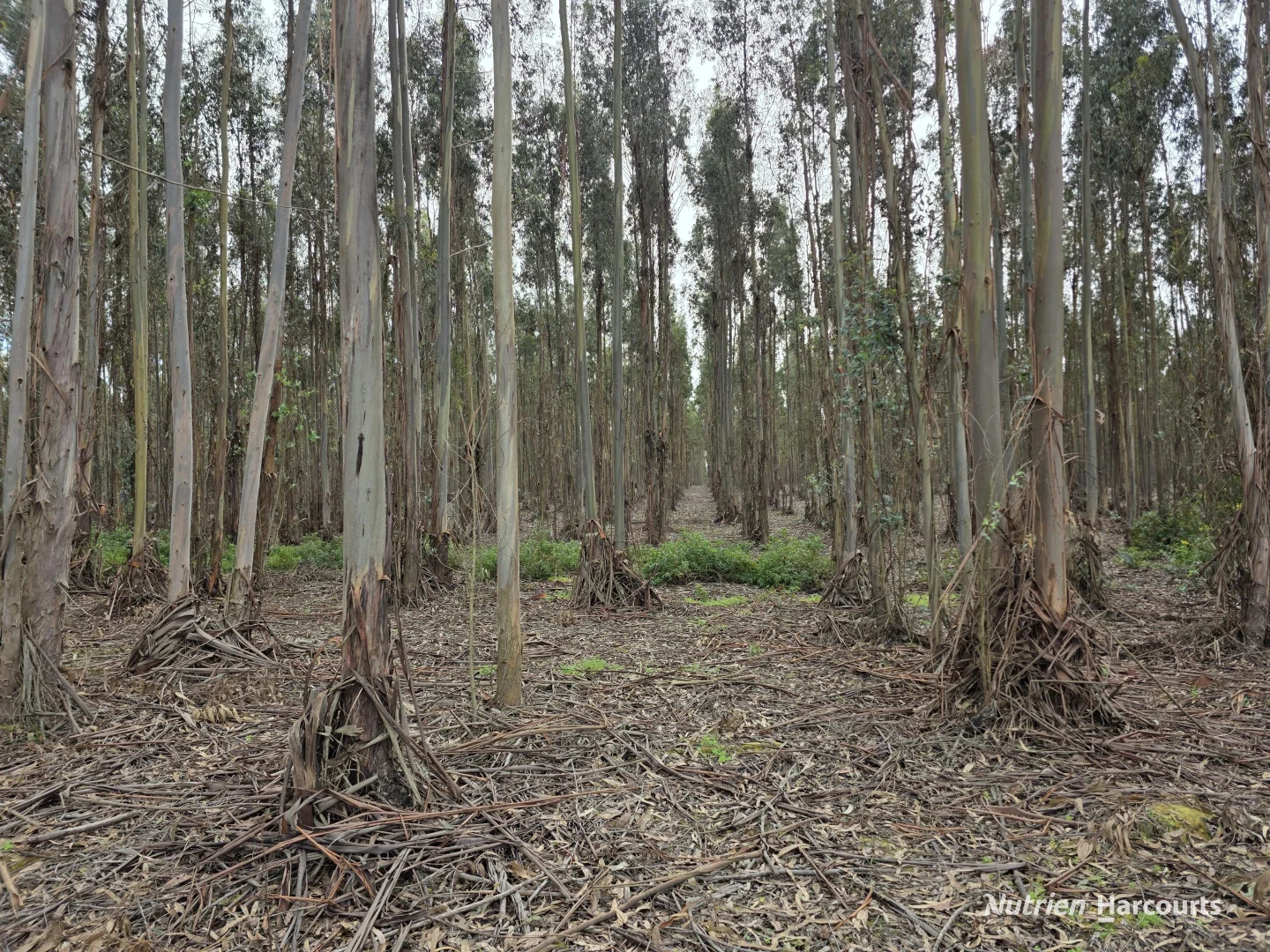 Additional image 3 of 1458 Palmdale Road, Palmdale WA 6328